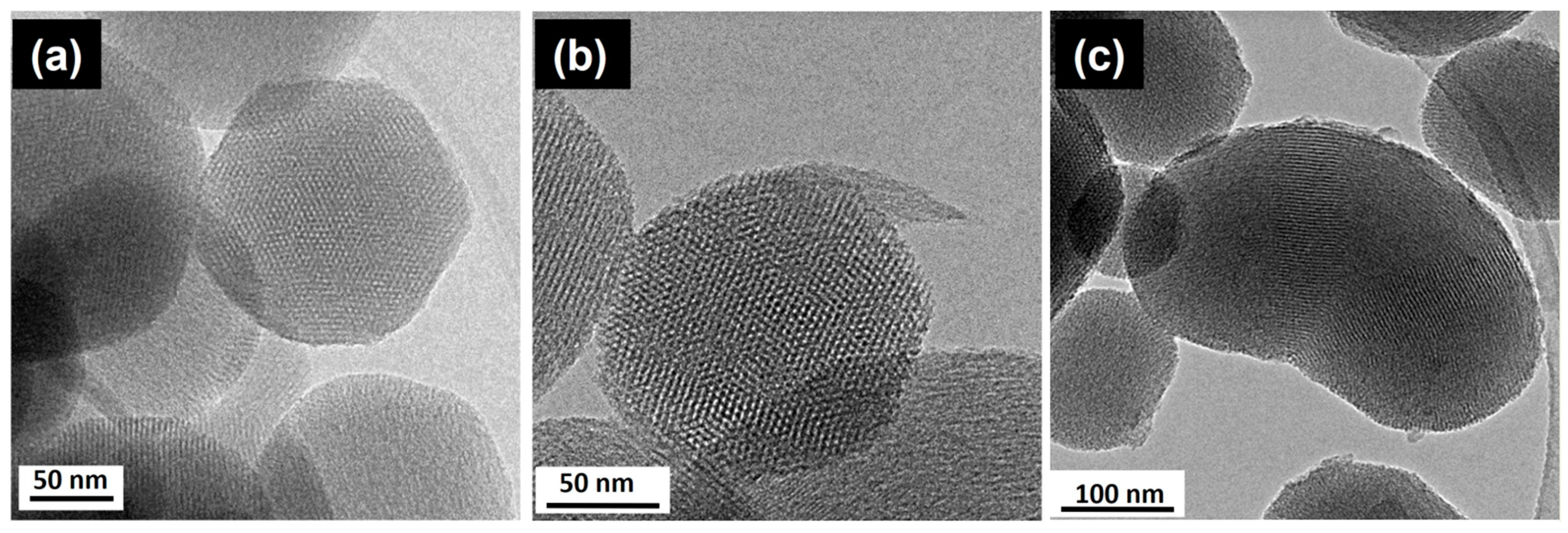 Pharmaceutics 13 02200 g003