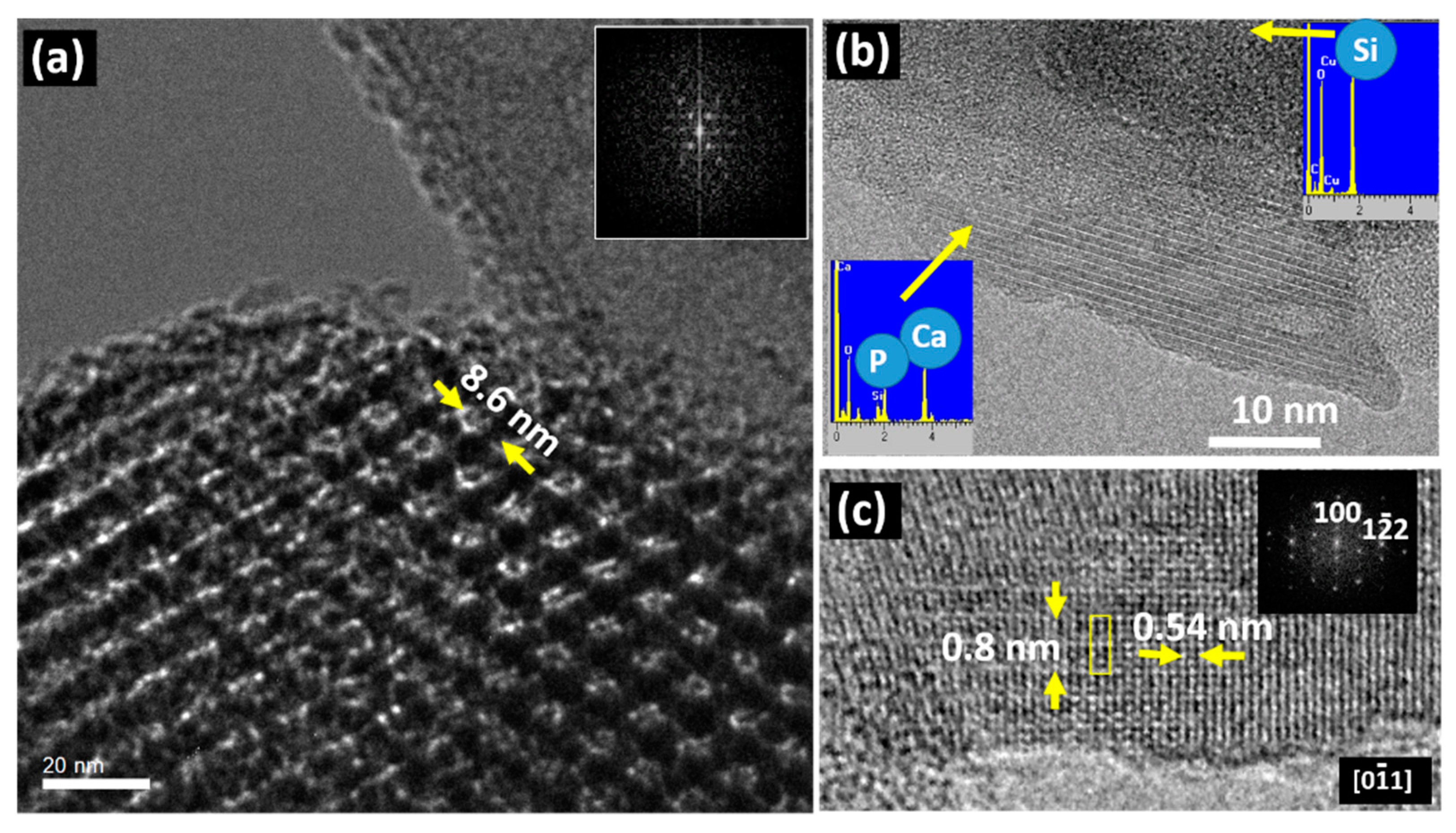 Pharmaceutics 13 02200 g004