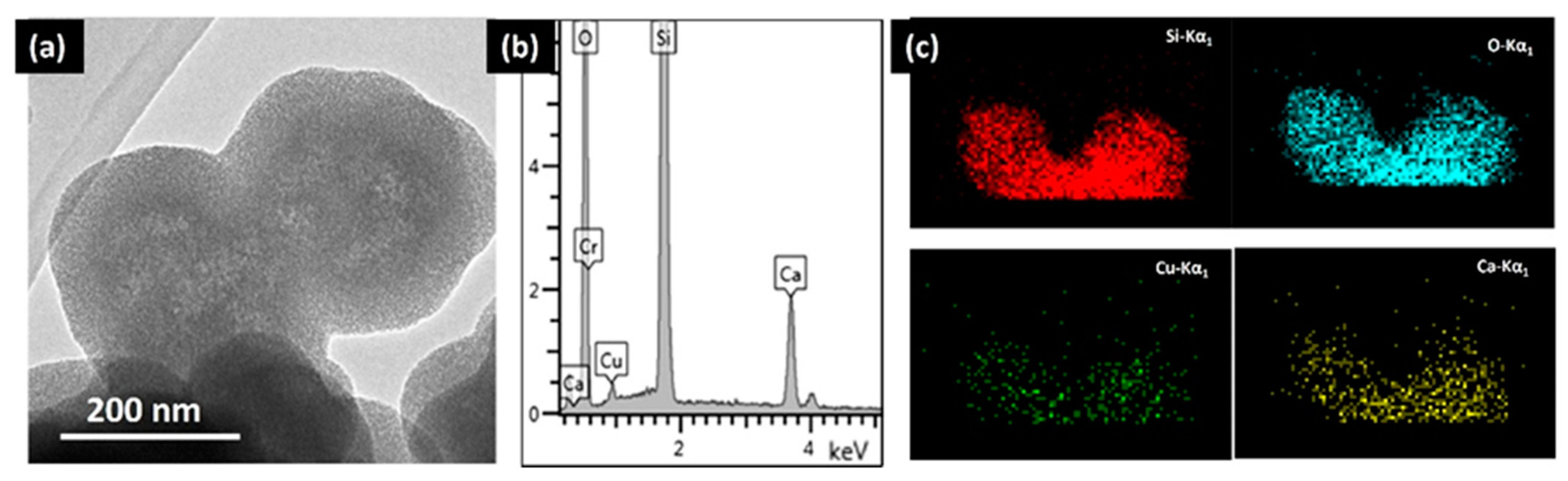 Pharmaceutics 13 02200 g005