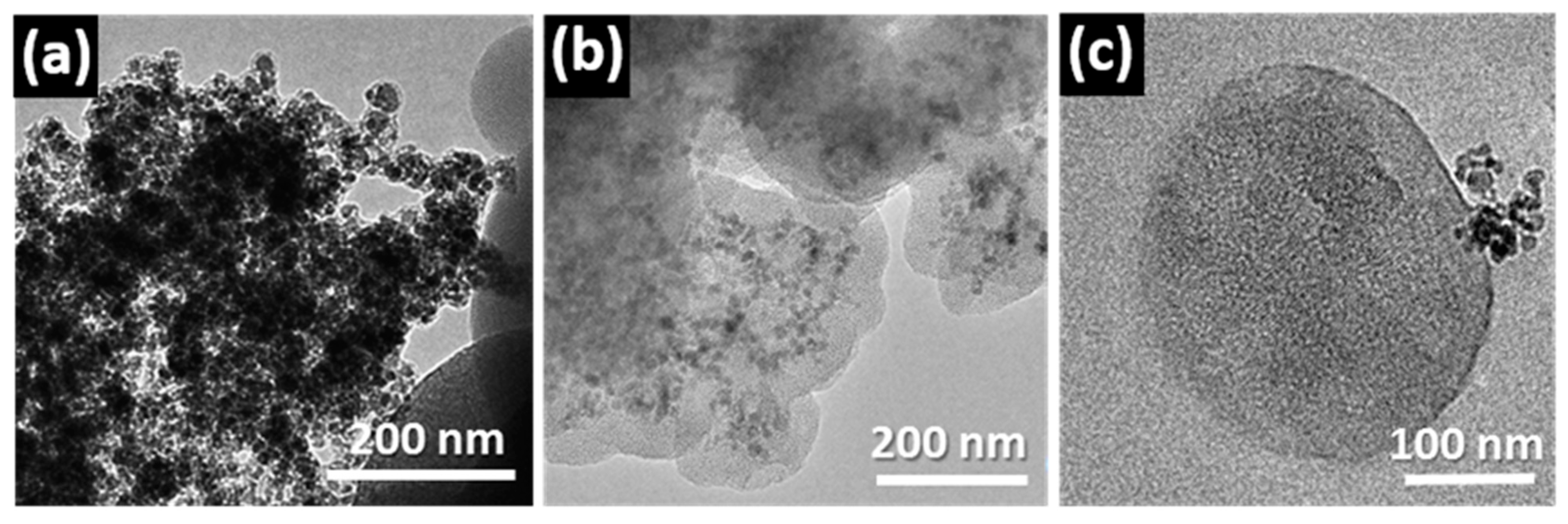 Pharmaceutics 13 02200 g006