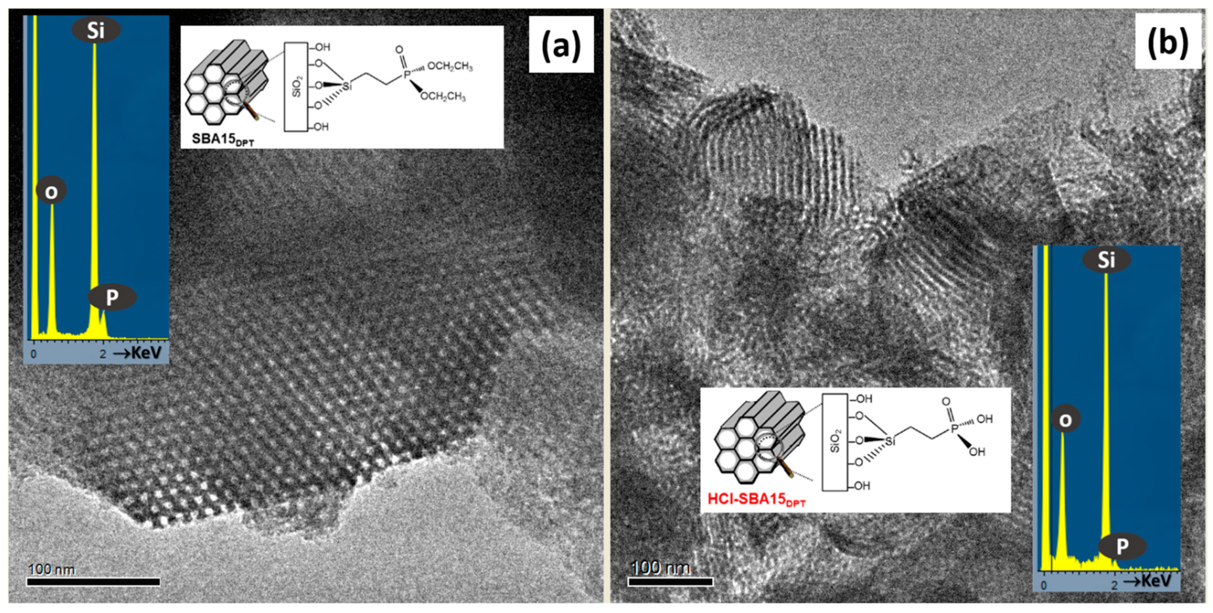 Pharmaceutics 13 02200 g007