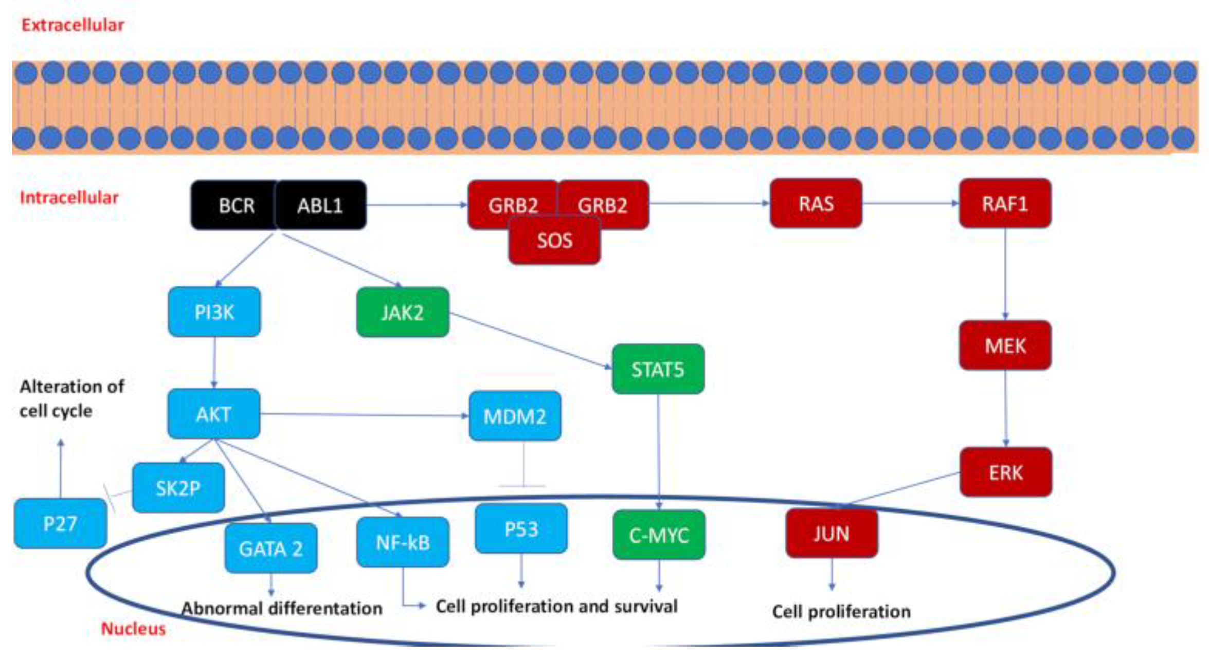 Pharmaceutics 13 02201 g001
