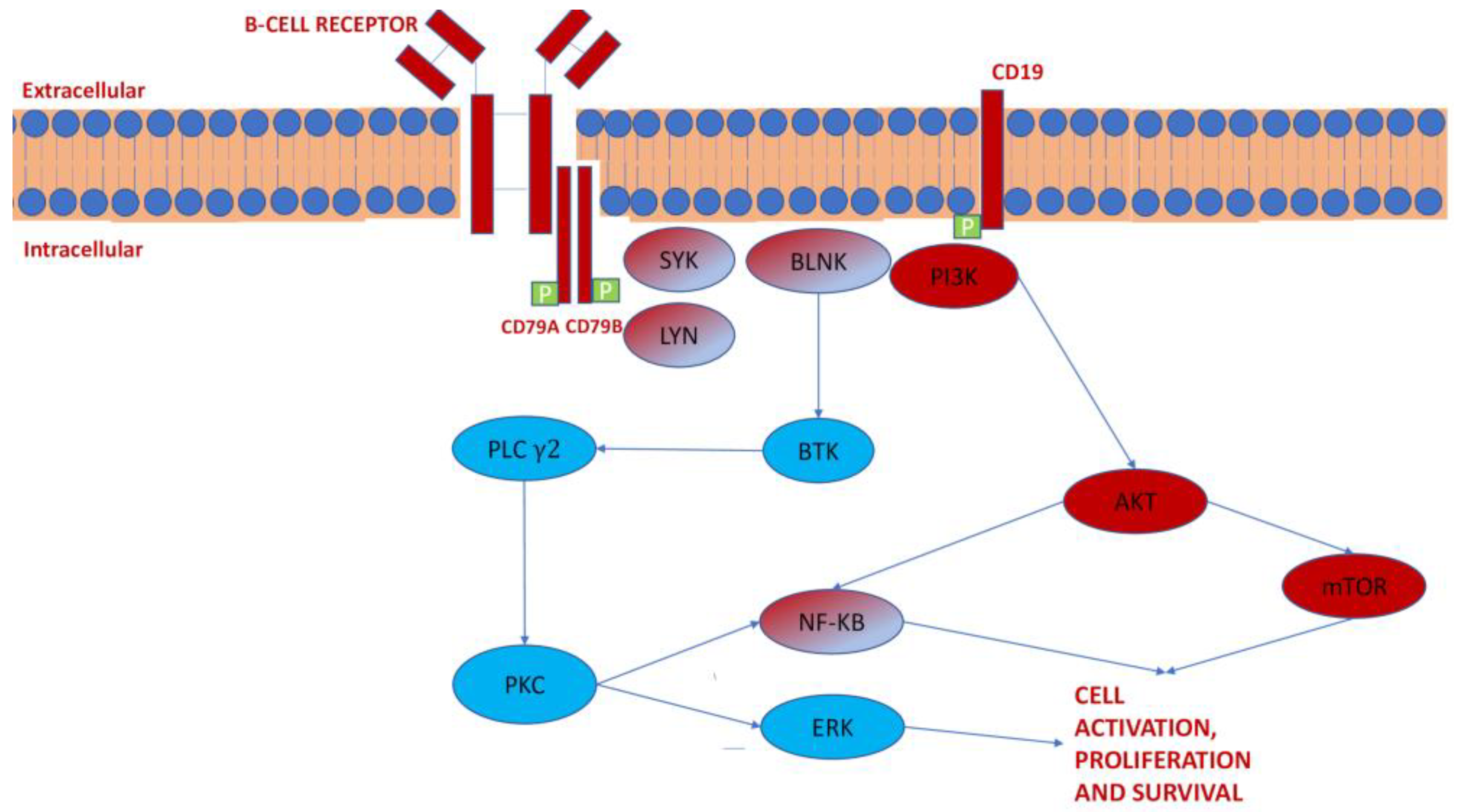 Pharmaceutics 13 02201 g002