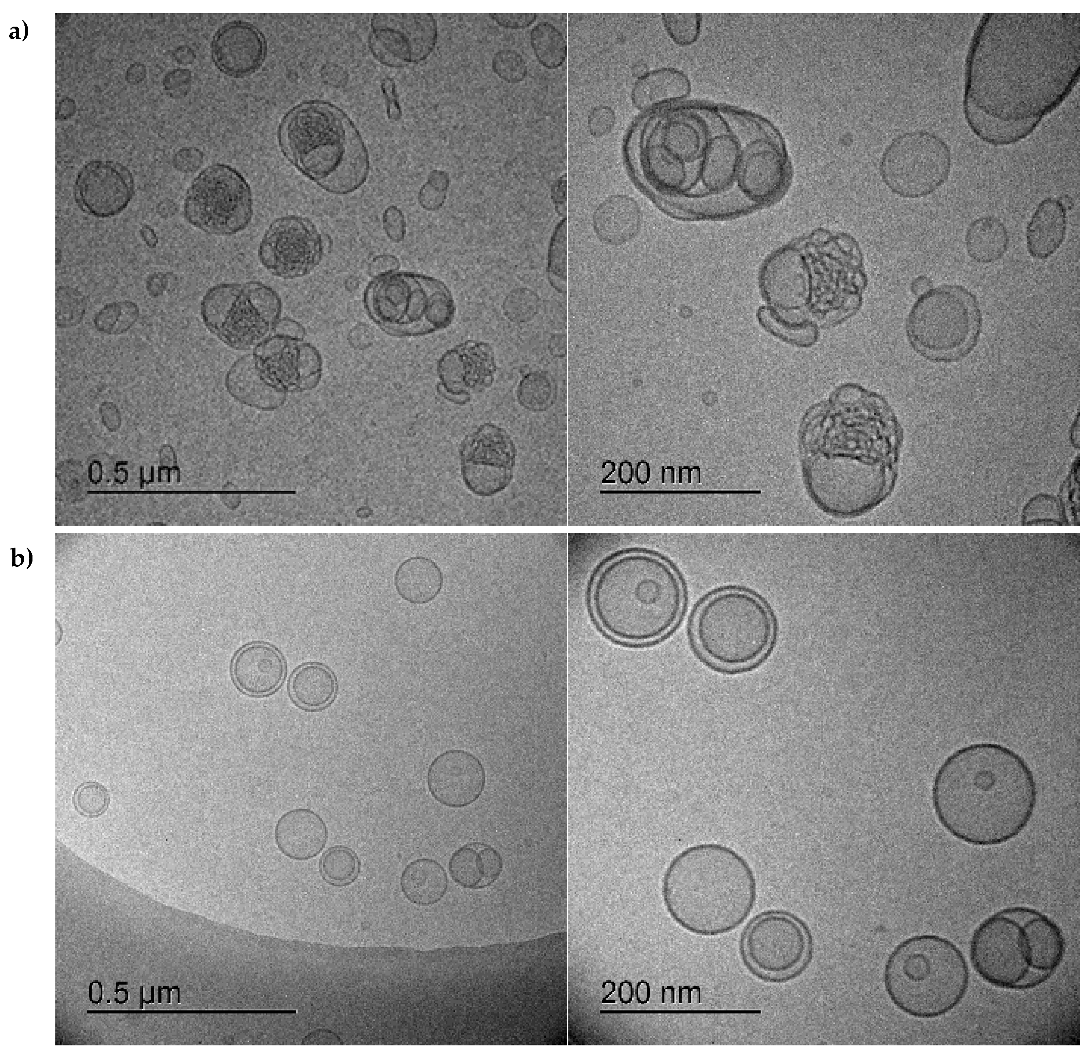 Pharmaceutics 14 00004 g004