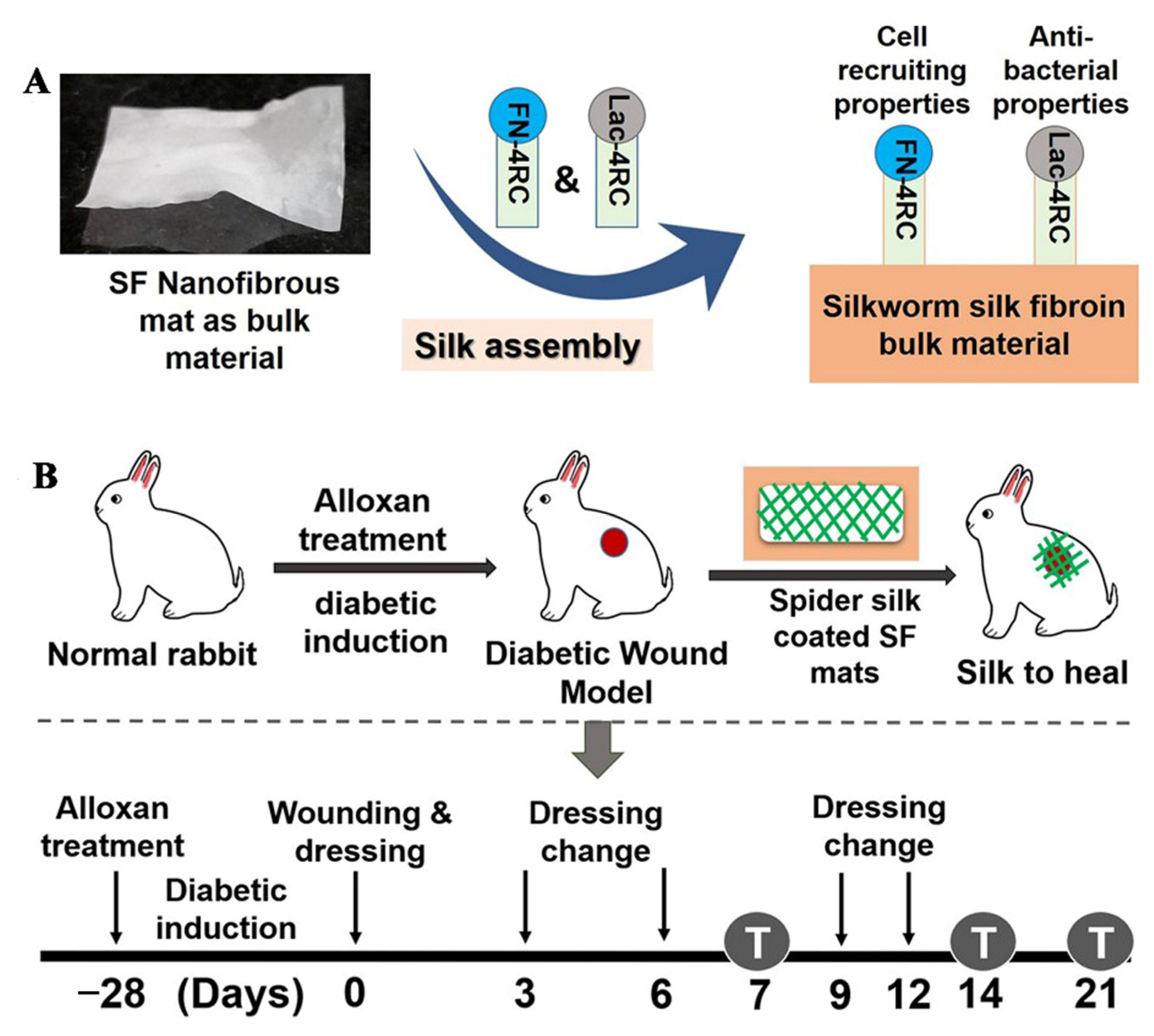 Pharmaceutics 14 00006 g003