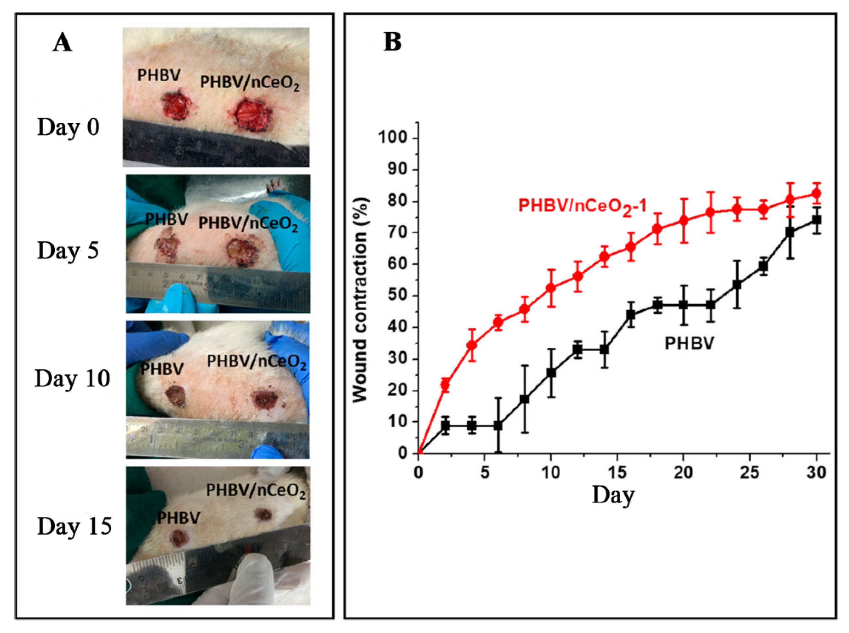 Pharmaceutics 14 00006 g006