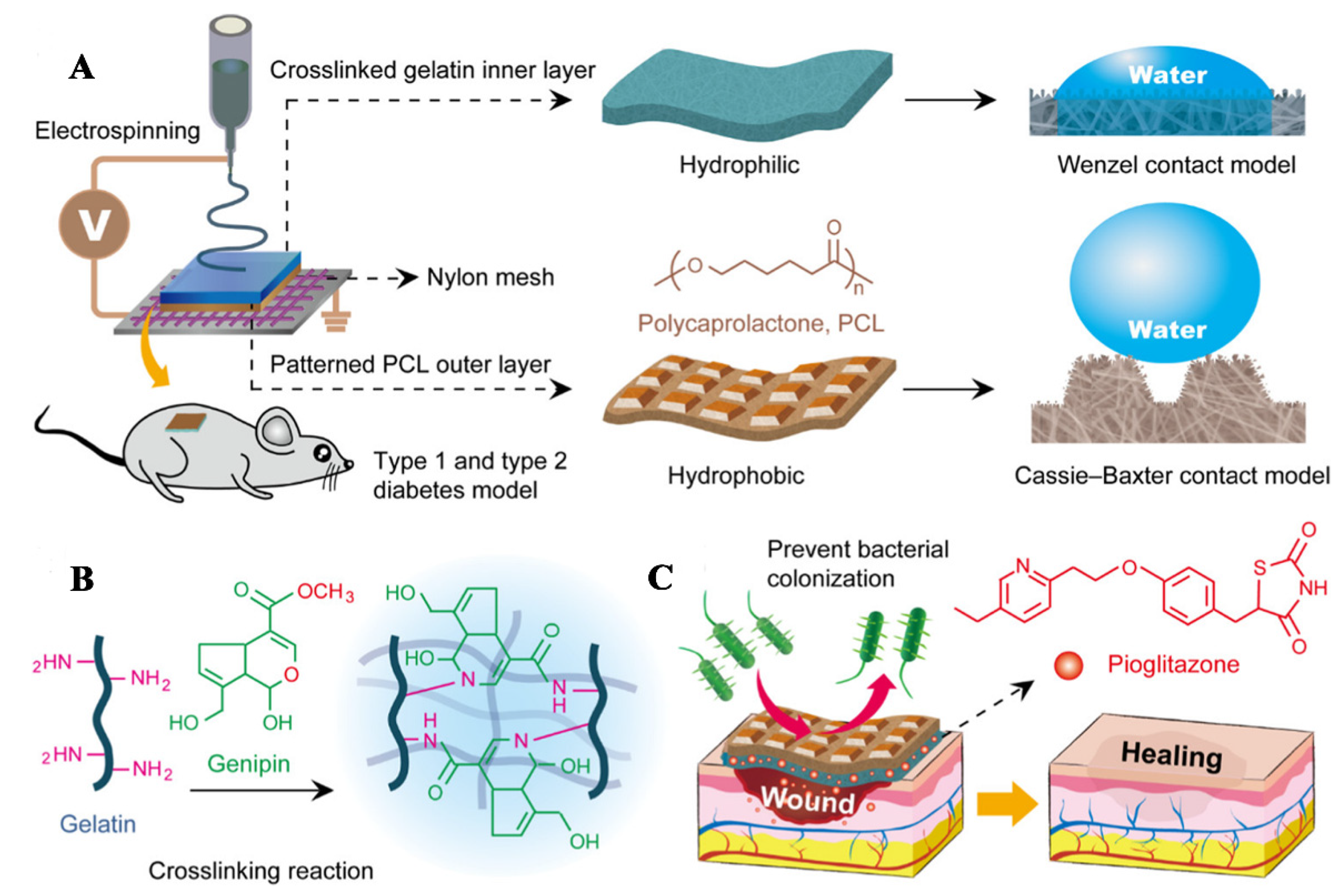 Pharmaceutics 14 00006 g008