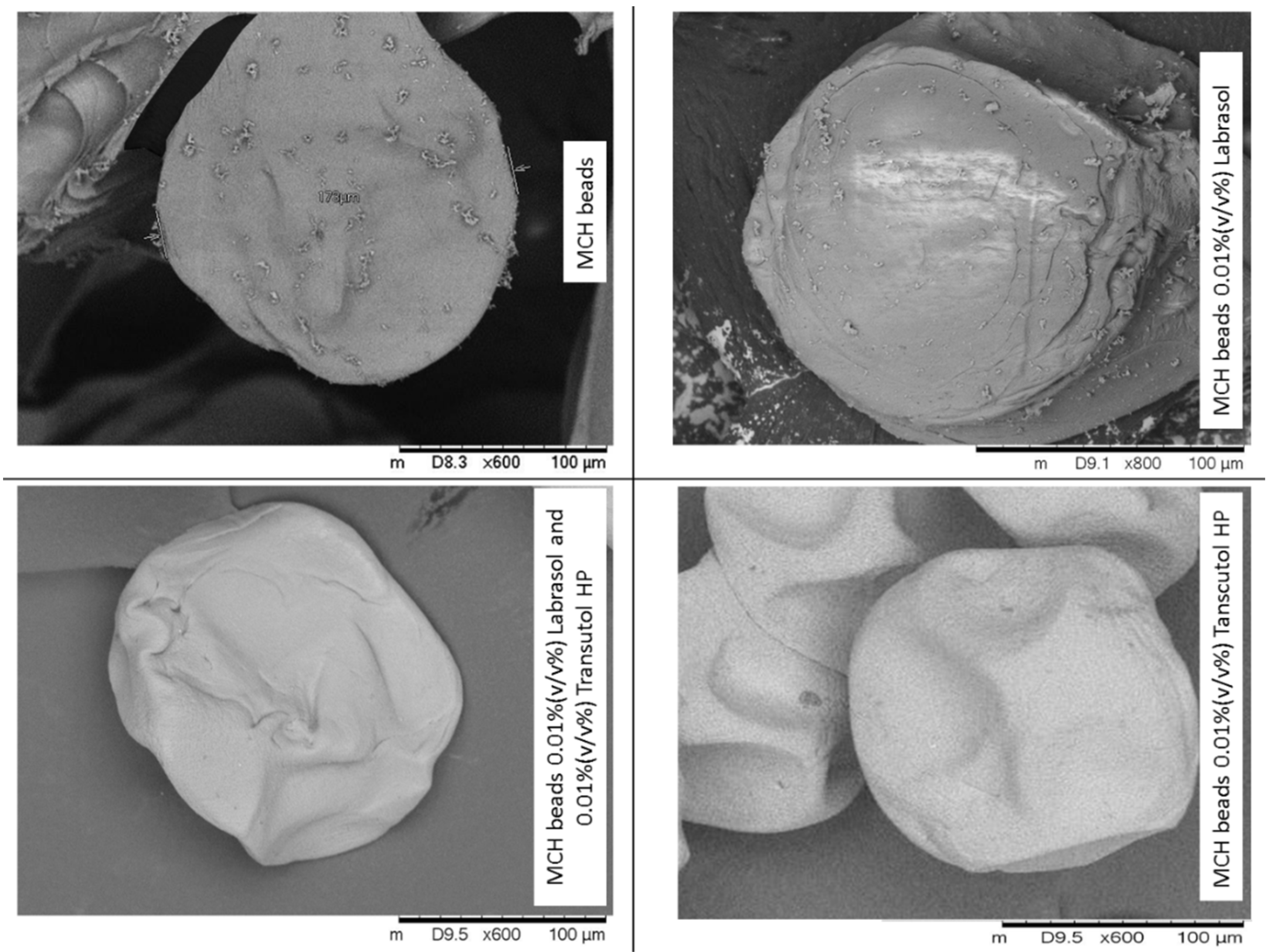 Pharmaceutics 14 00009 g003