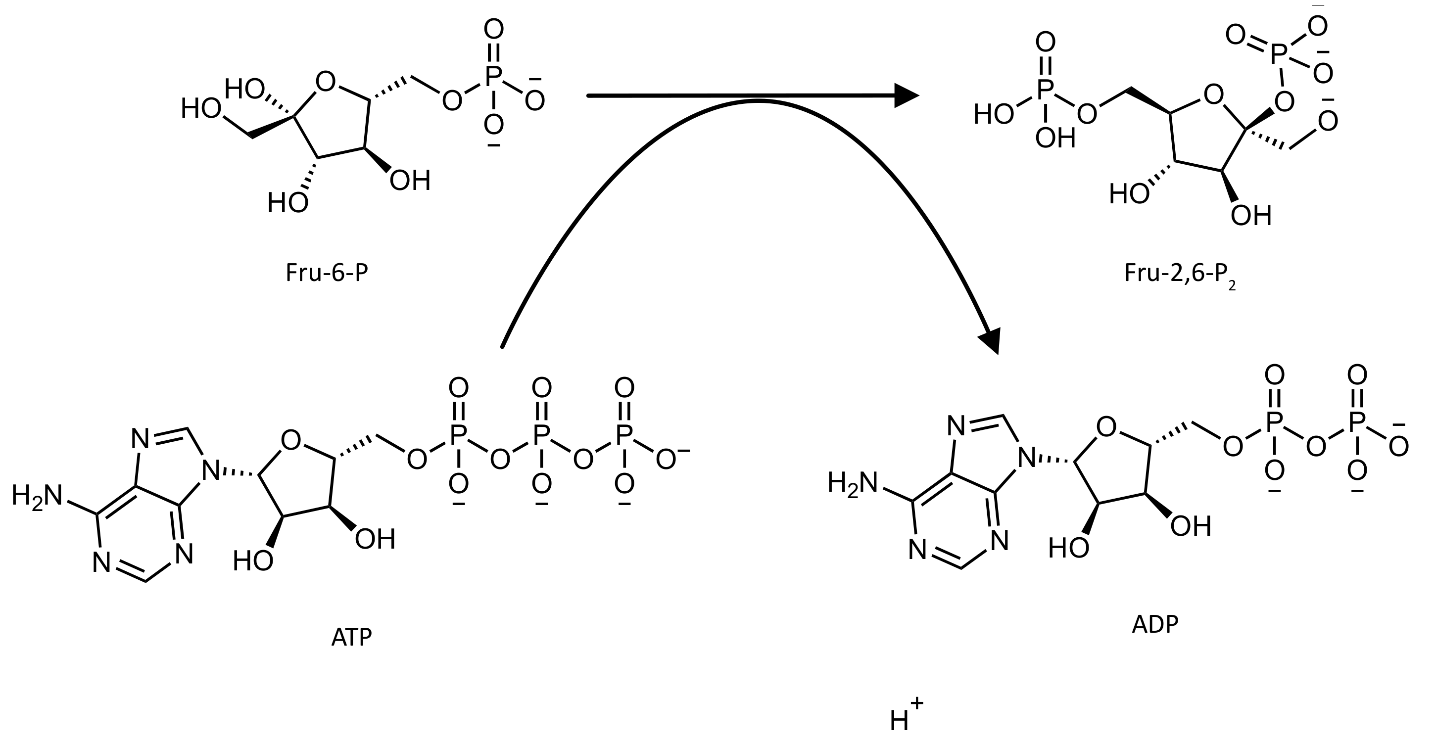 Pharmaceutics 14 00010 g001 550