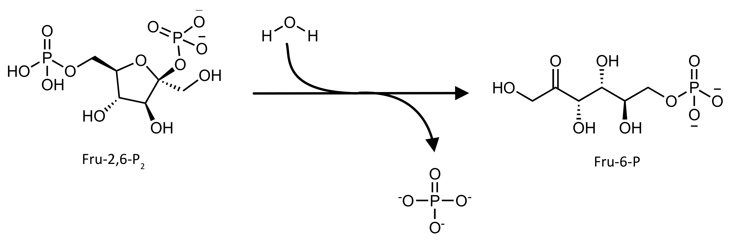 Pharmaceutics 14 00010 g002 550