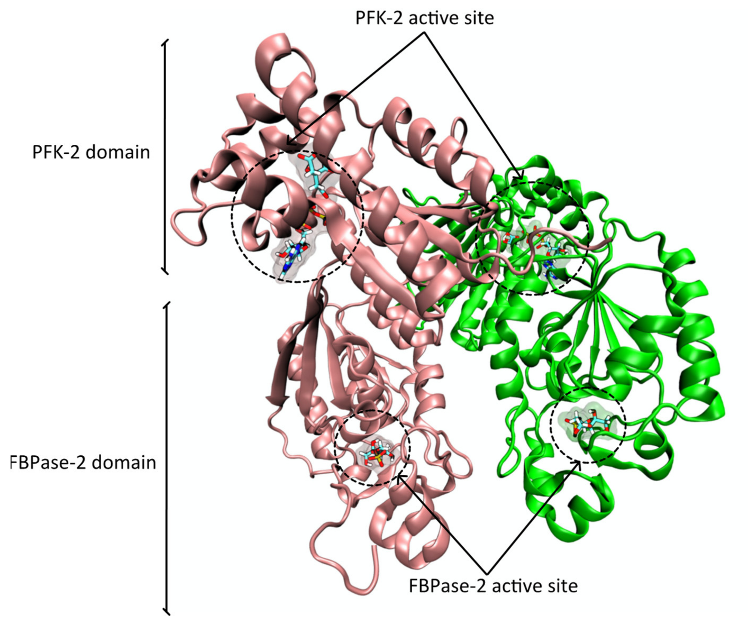 Pharmaceutics 14 00010 g003 550
