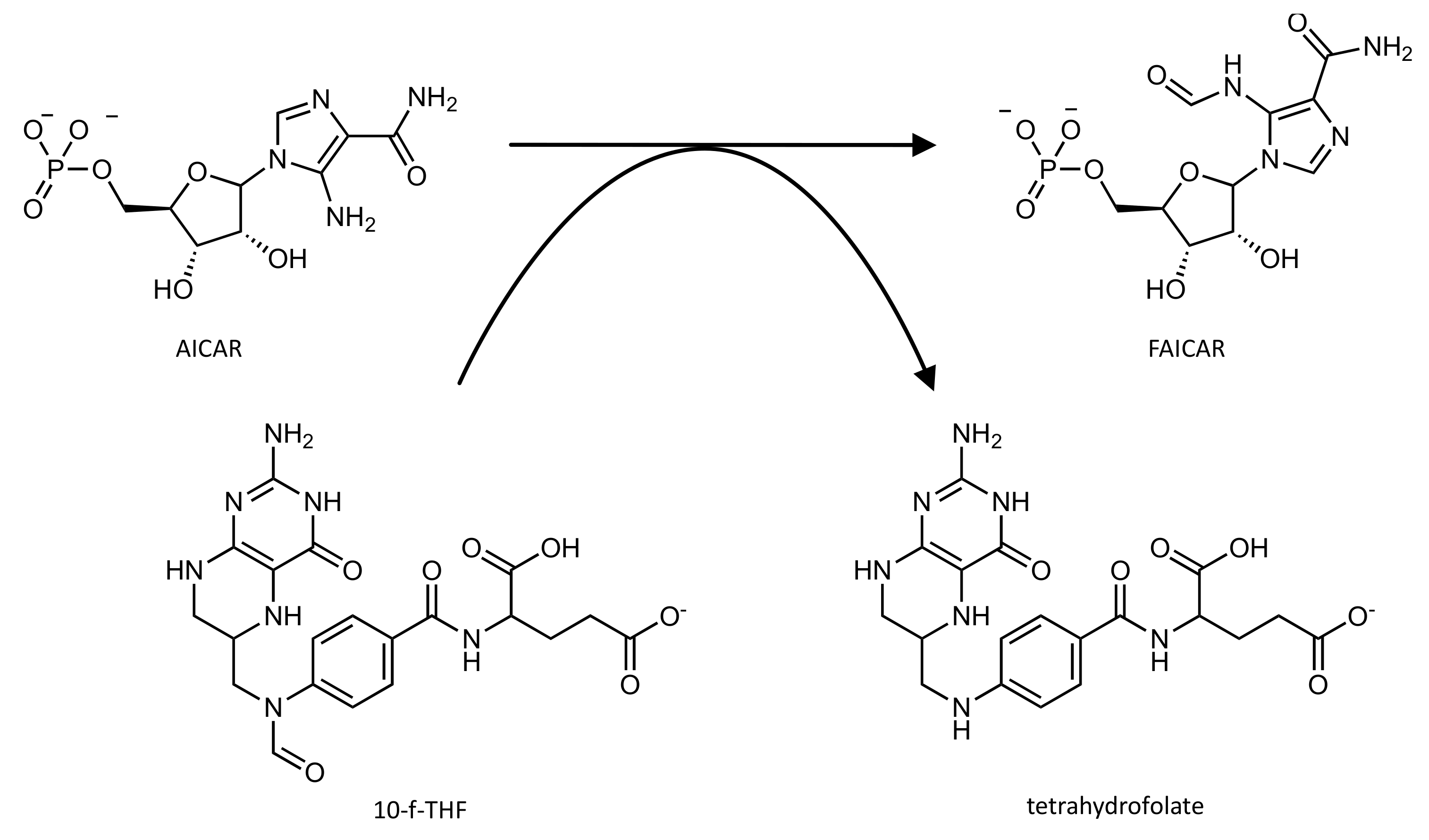 Pharmaceutics 14 00010 g005 550