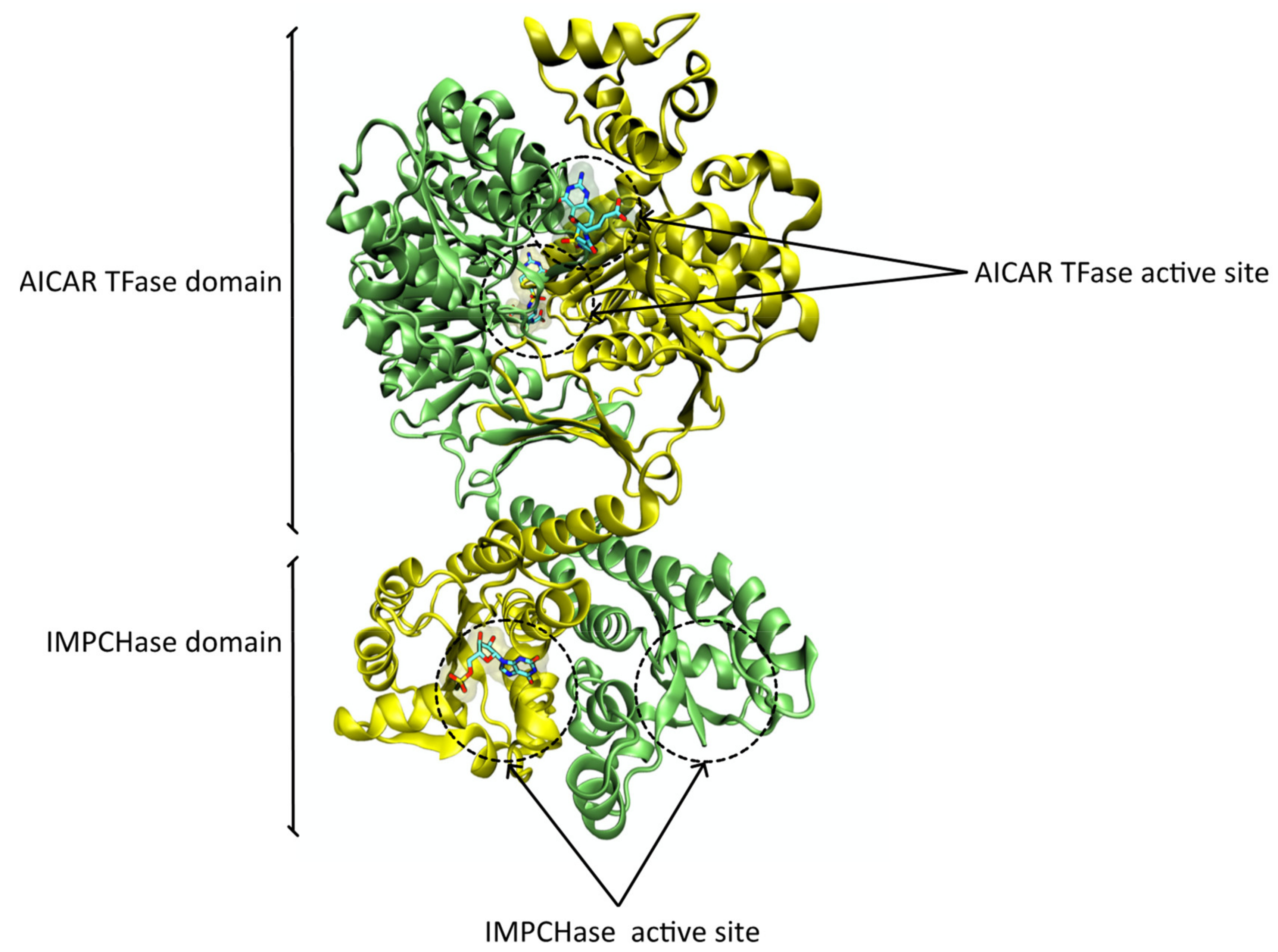 Pharmaceutics 14 00010 g007 550