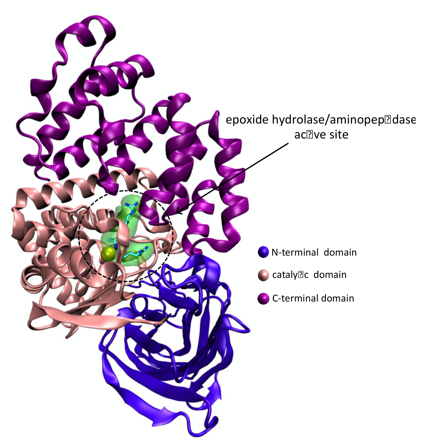 Pharmaceutics 14 00010 g011 550