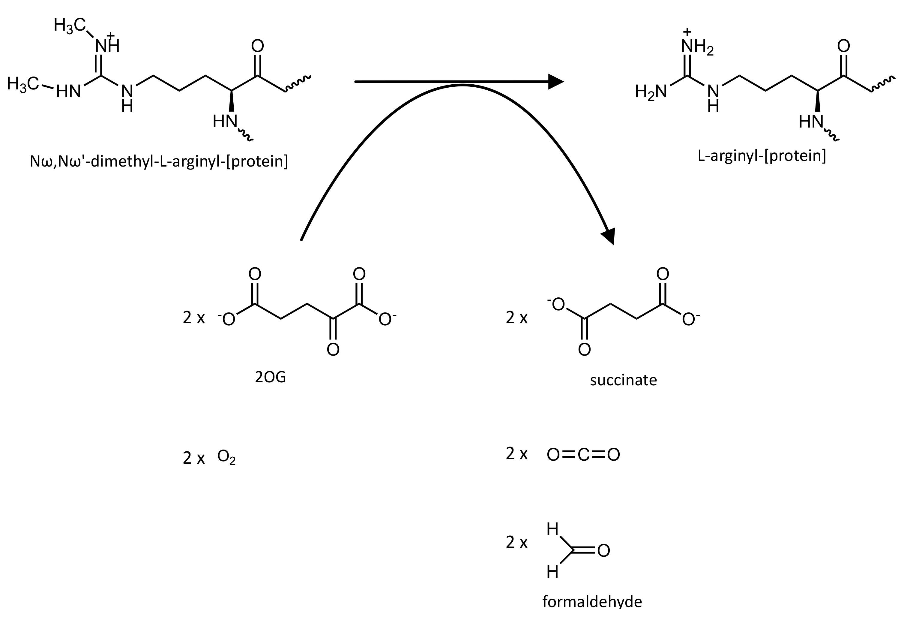 Pharmaceutics 14 00010 g014 550