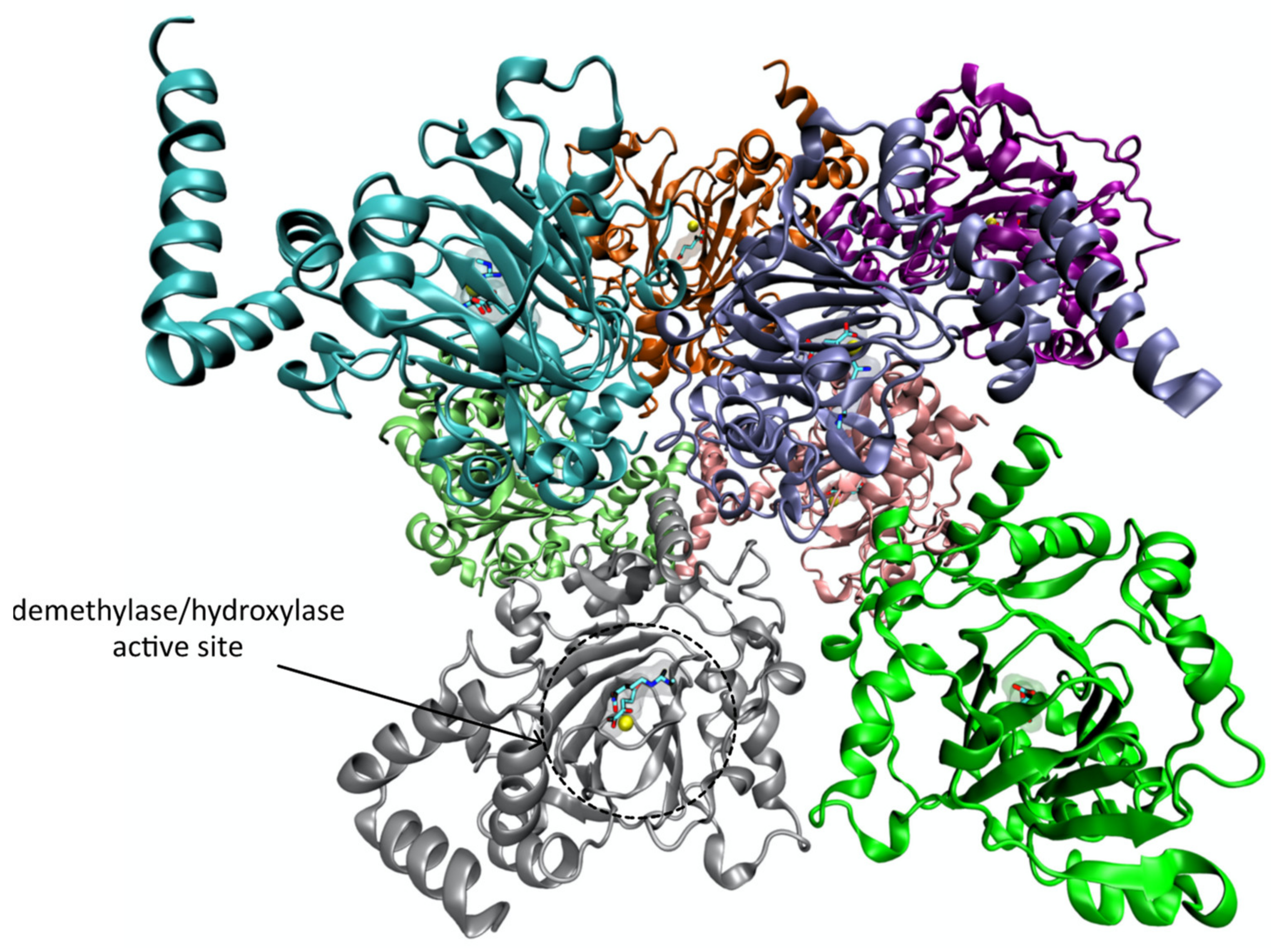 Pharmaceutics 14 00010 g015 550