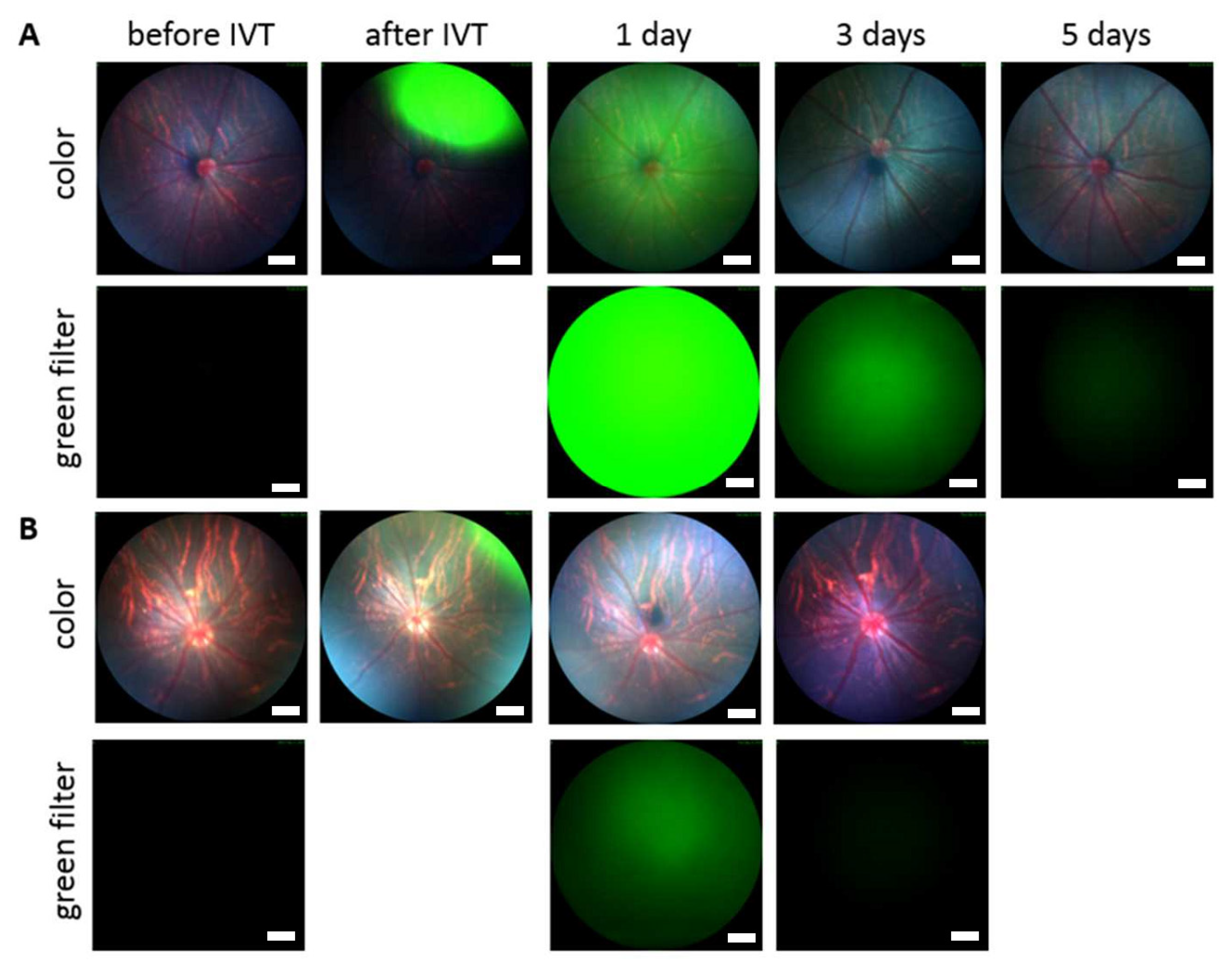 Pharmaceutics 14 00012 g004 550