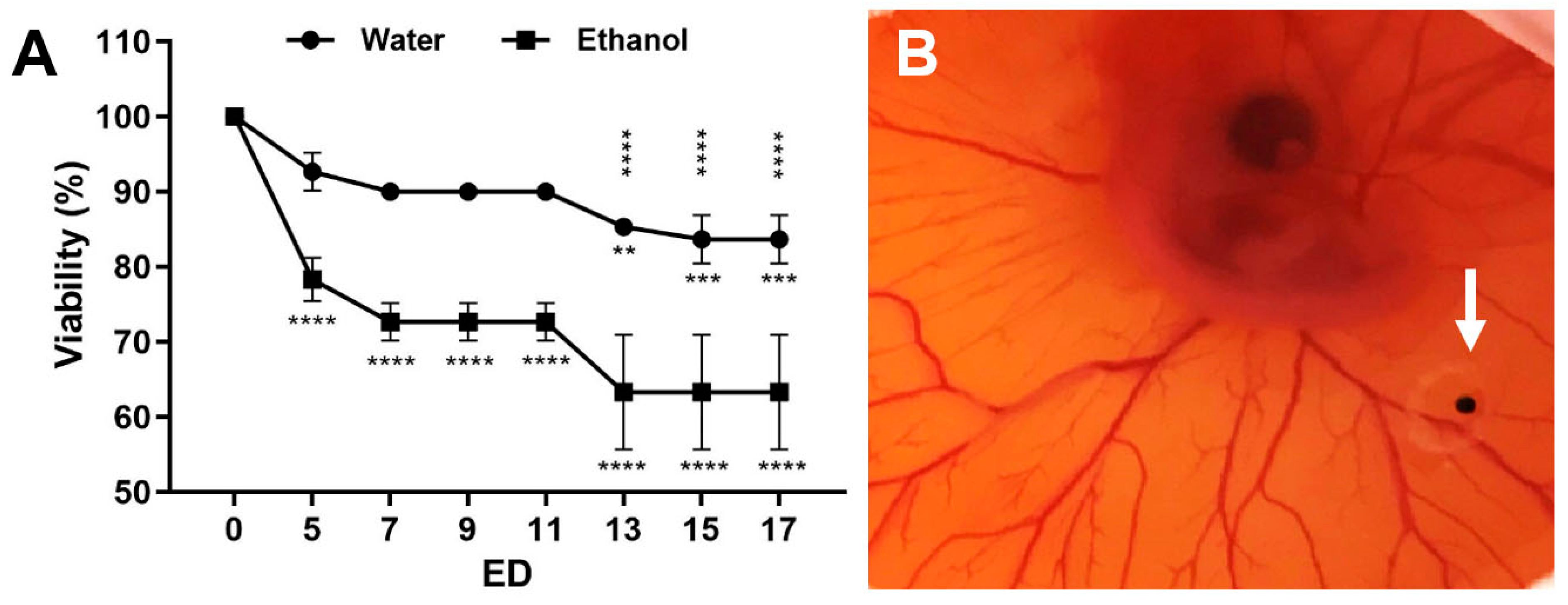 Pharmaceutics 14 00013 g001