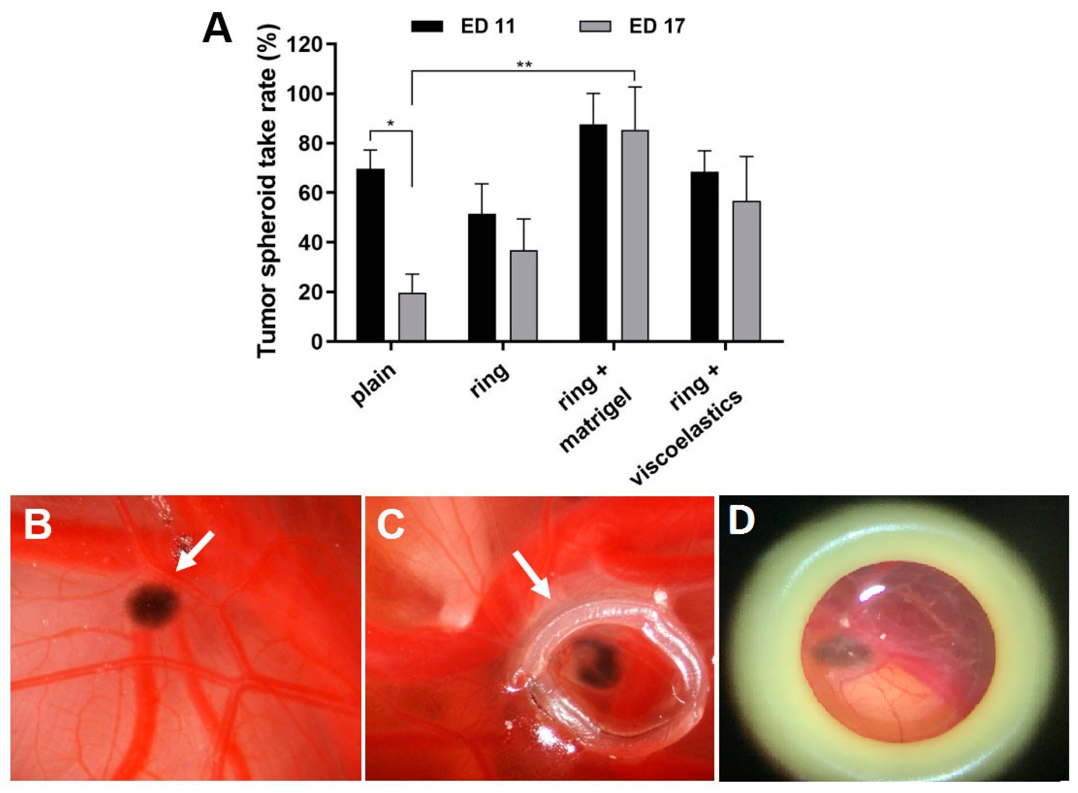 Pharmaceutics 14 00013 g002