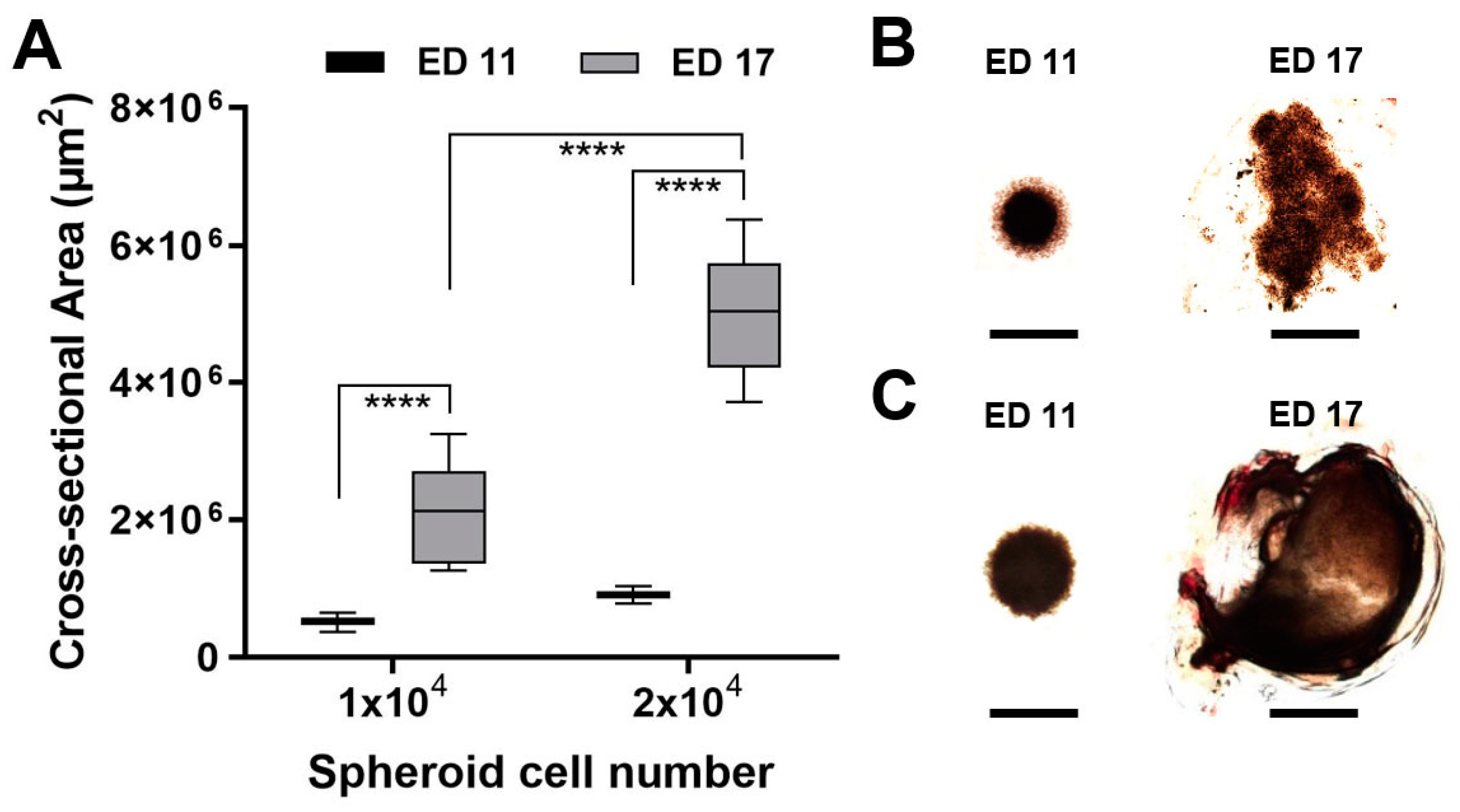 Pharmaceutics 14 00013 g003