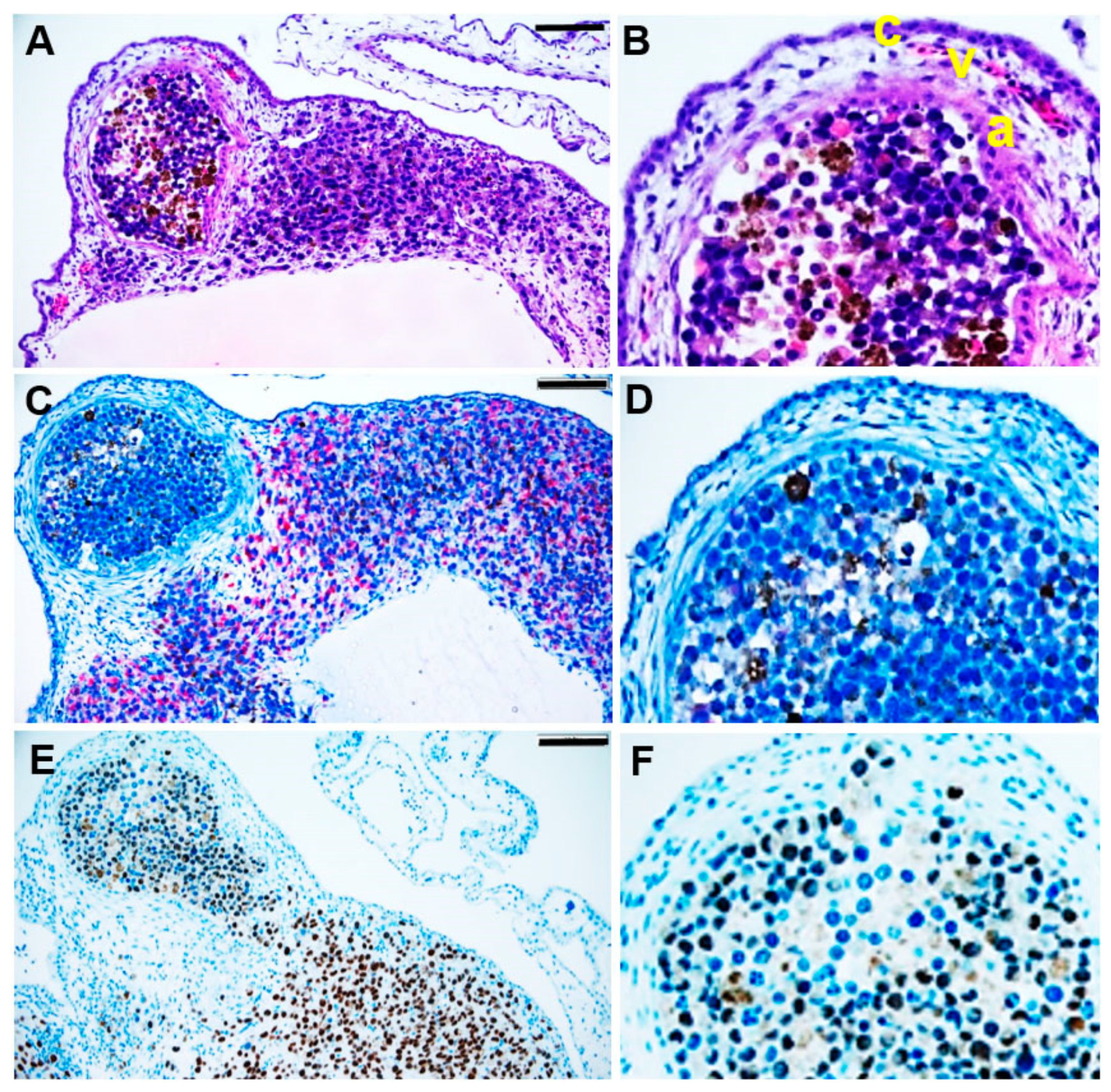 Pharmaceutics 14 00013 g004