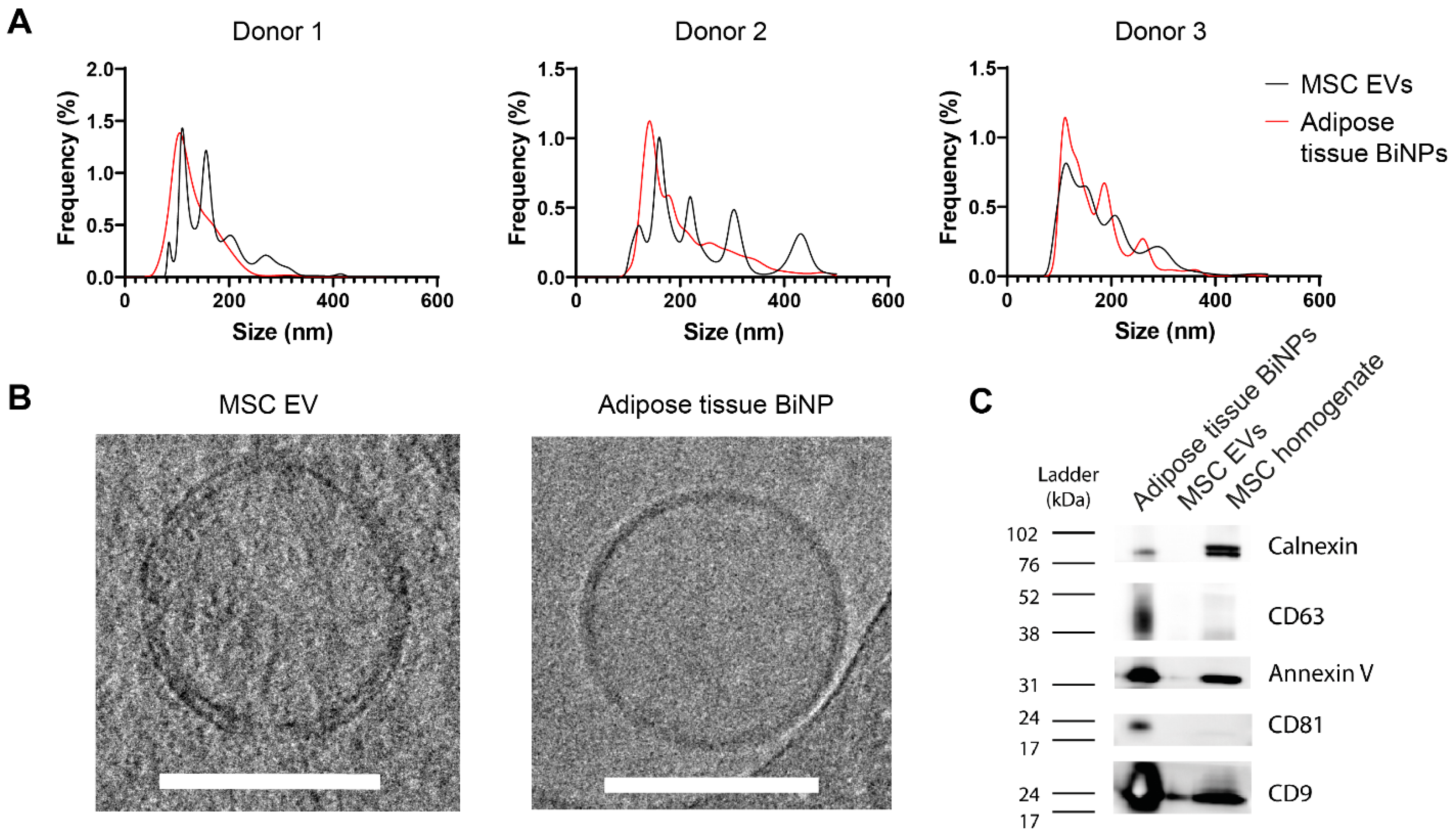 Pharmaceutics 14 00016 g001