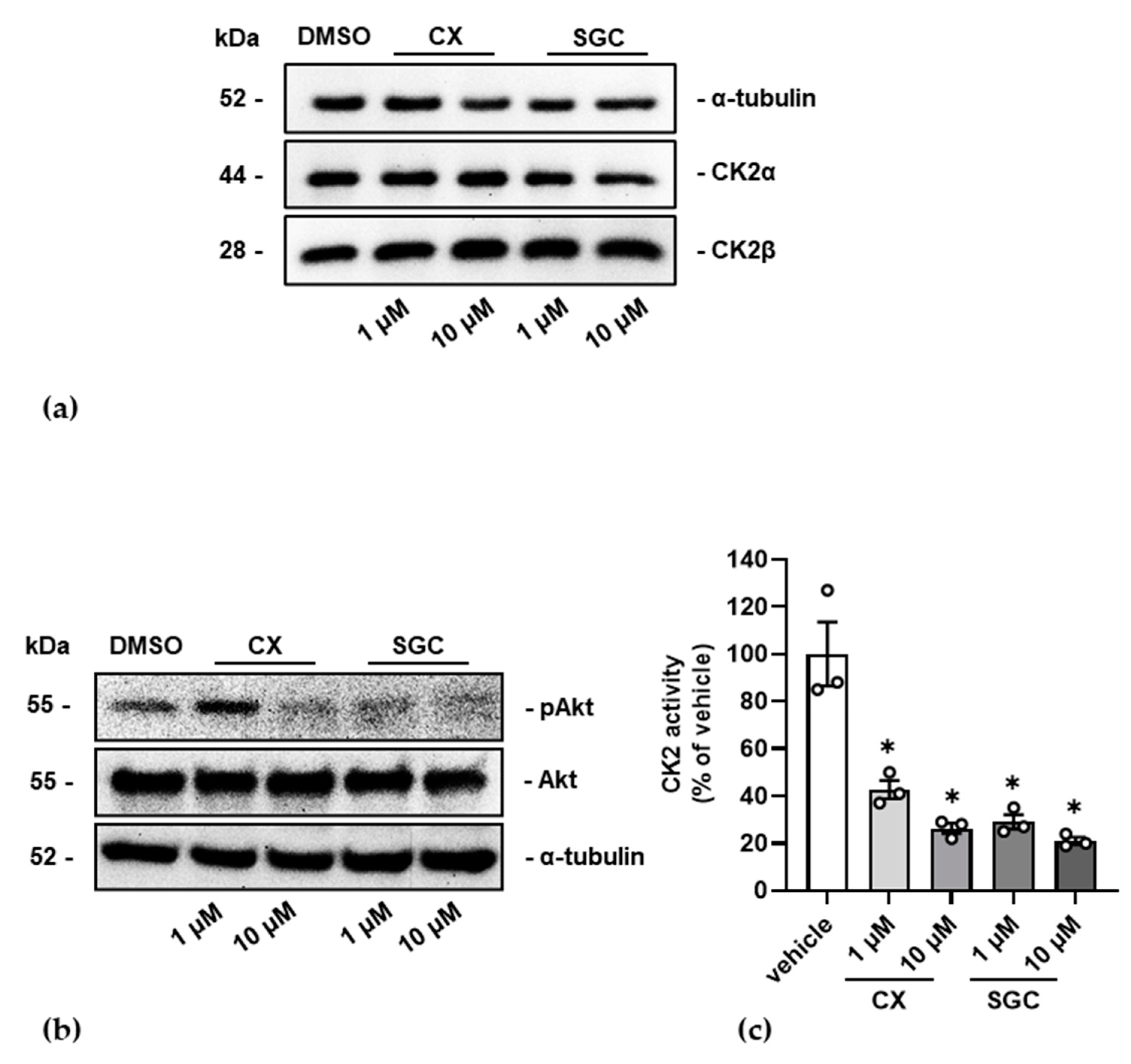 Pharmaceutics 14 00019 g002