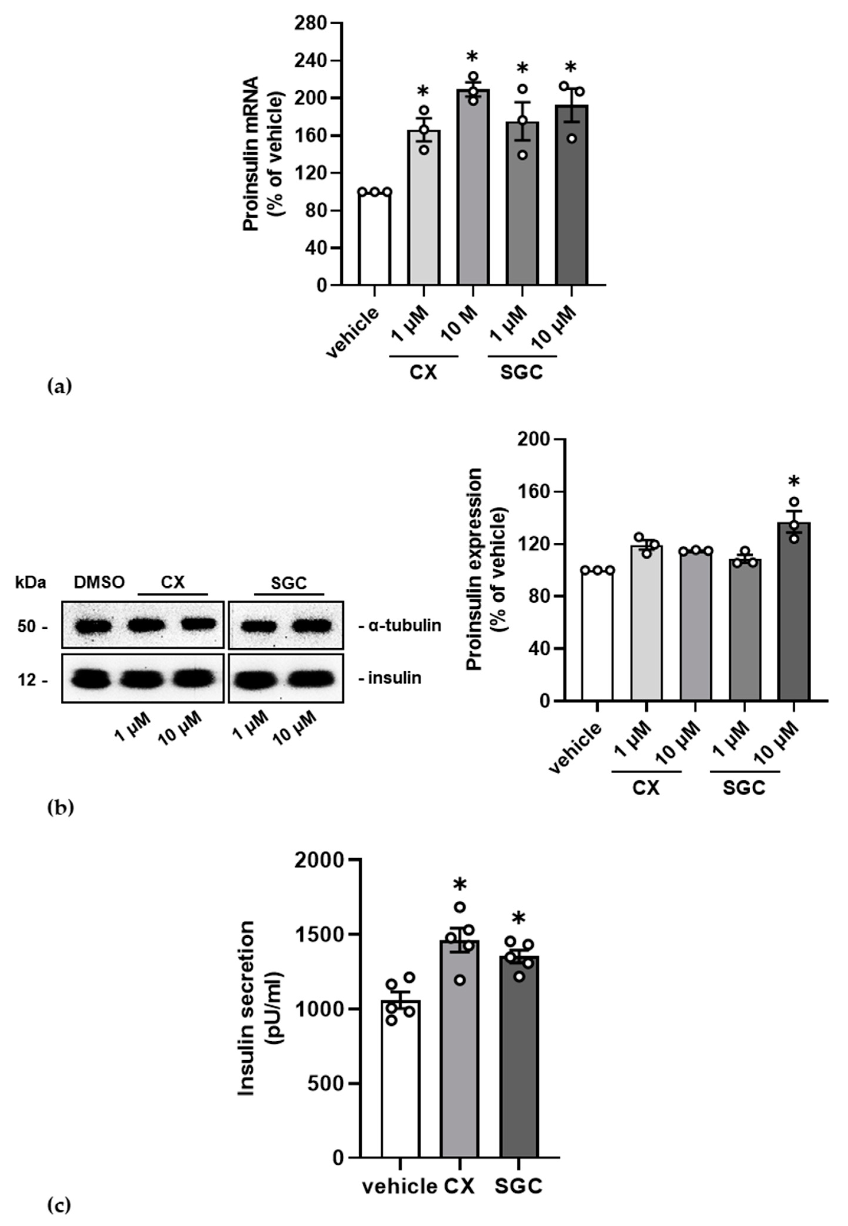 Pharmaceutics 14 00019 g003