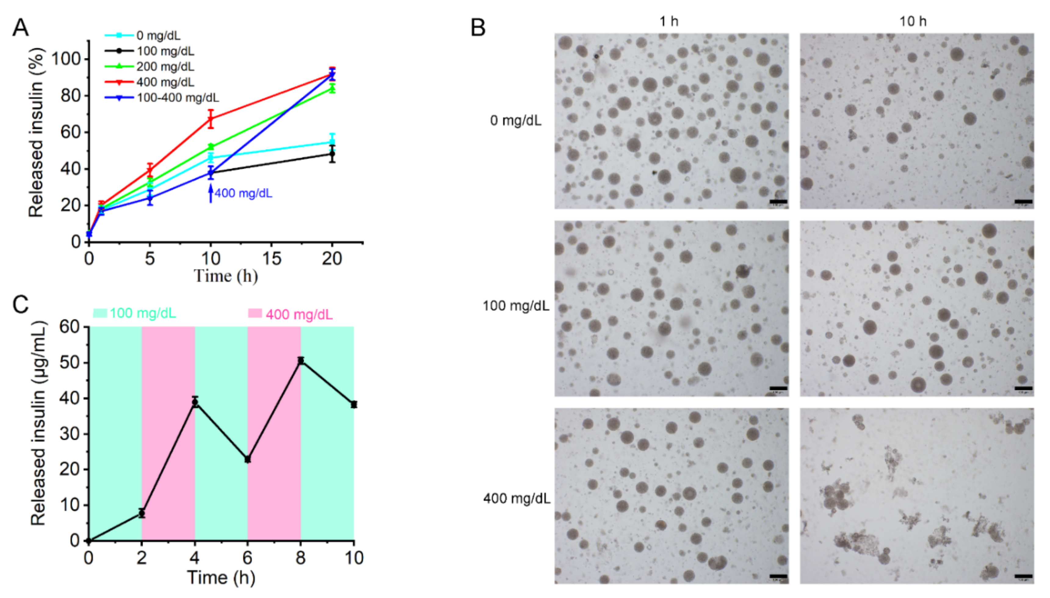 Pharmaceutics 14 00021 g006 550