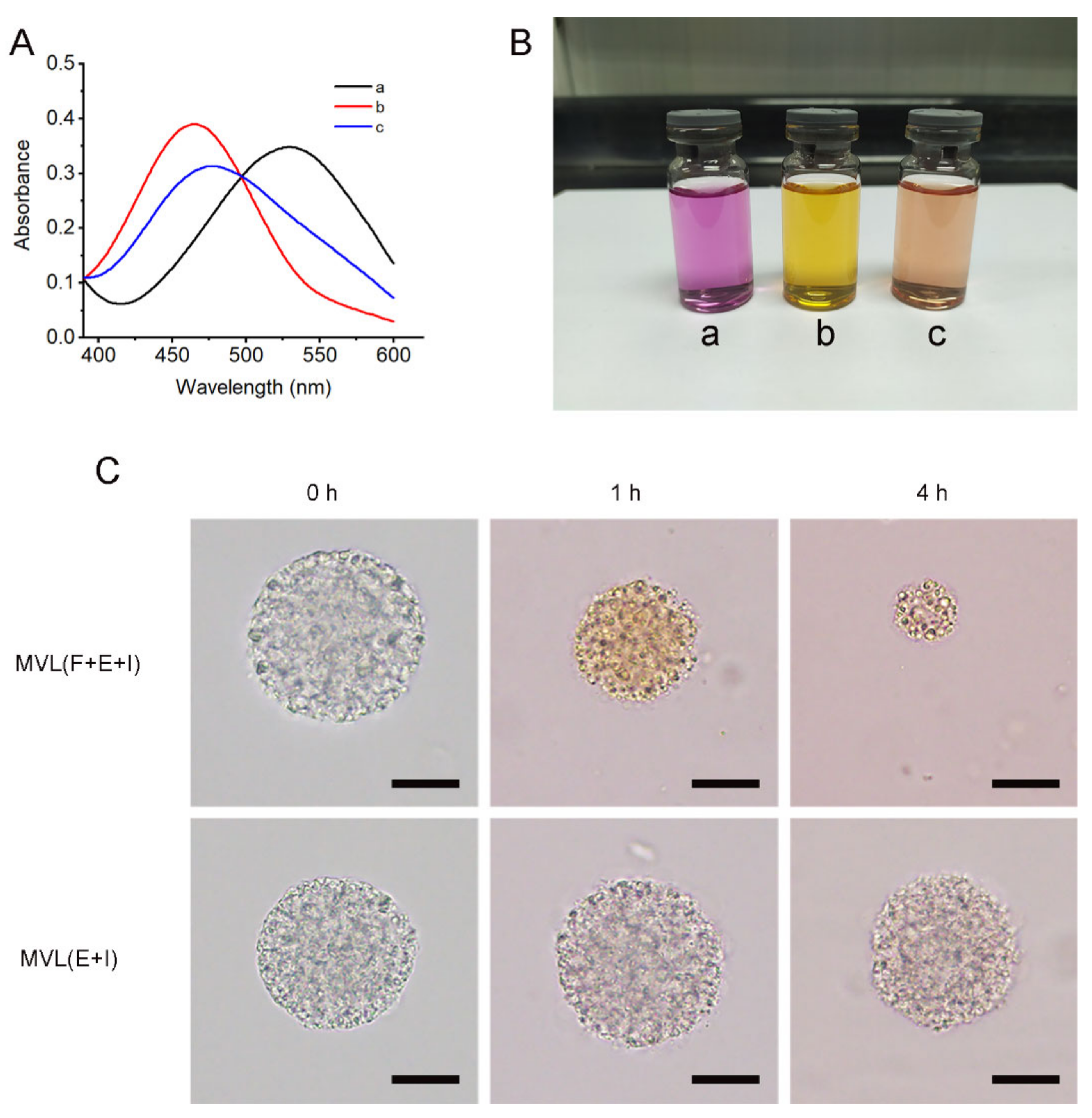 Pharmaceutics 14 00021 g007 550