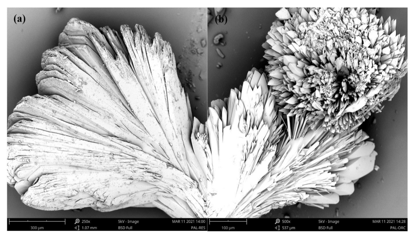 Pharmaceutics 14 00023 g012