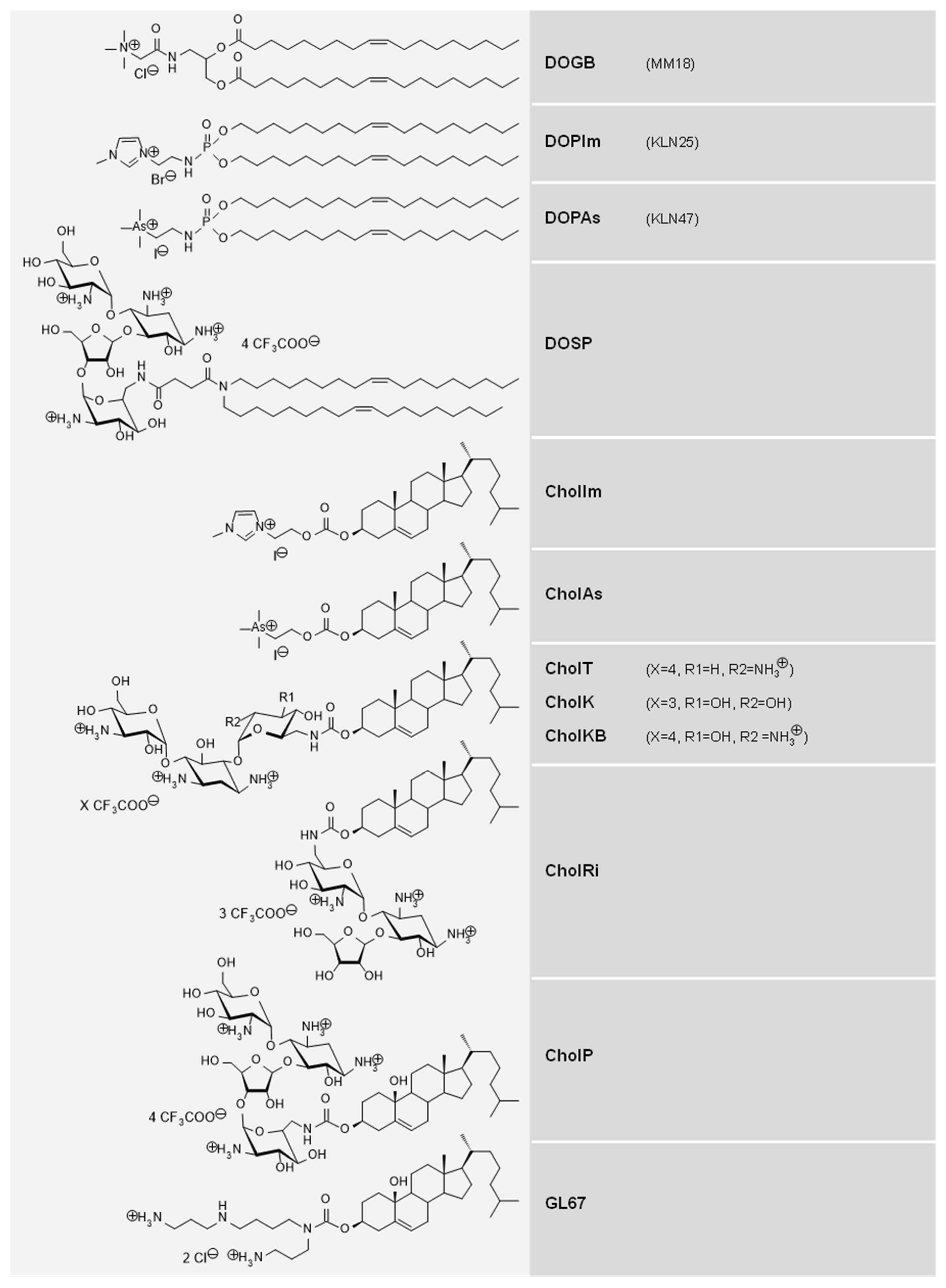 Pharmaceutics 14 00025 g001