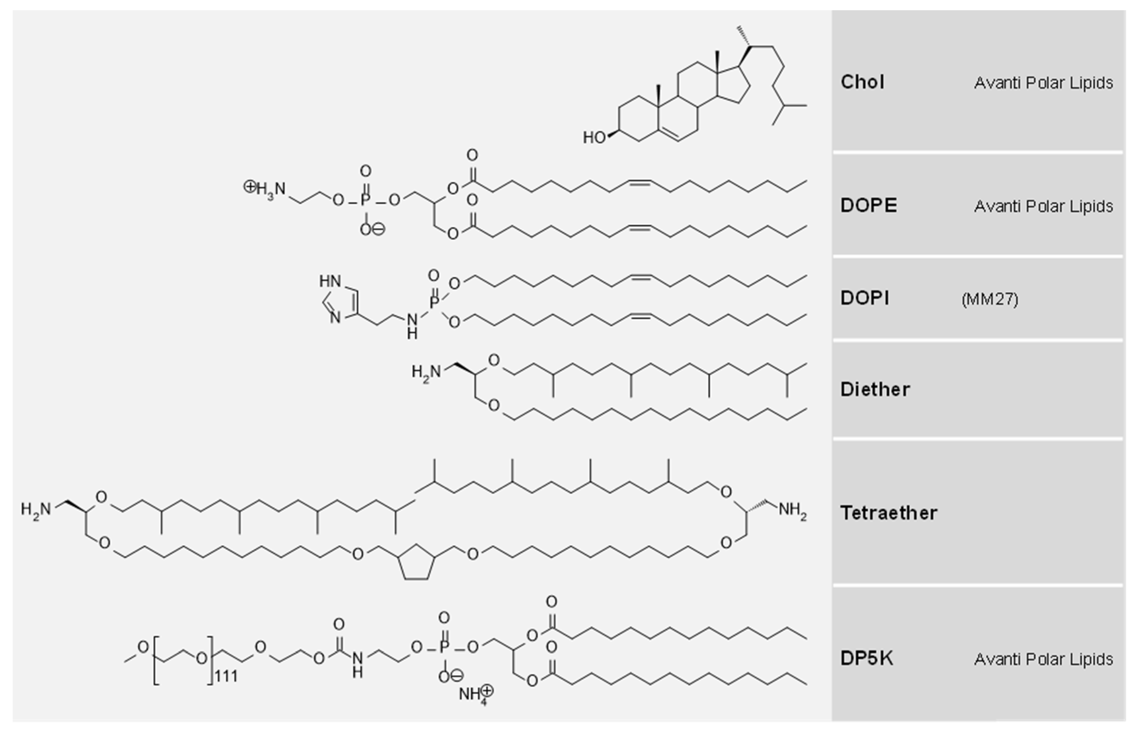 Pharmaceutics 14 00025 g002