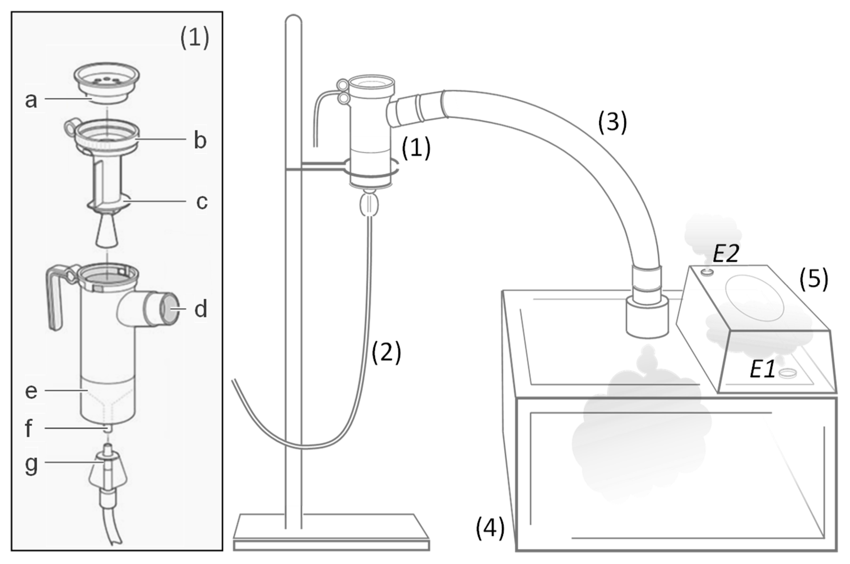 Pharmaceutics 14 00025 g003