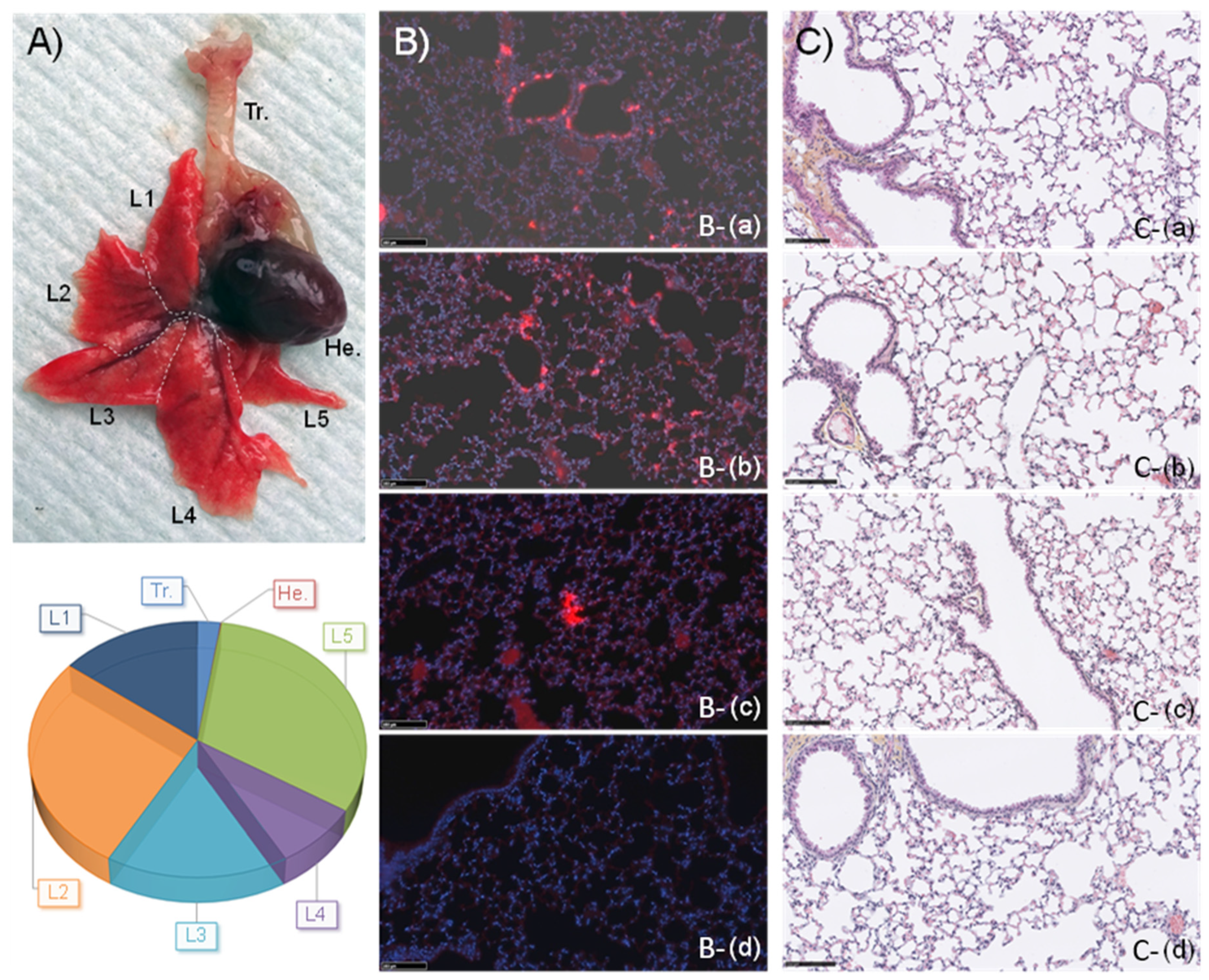 Pharmaceutics 14 00025 g006