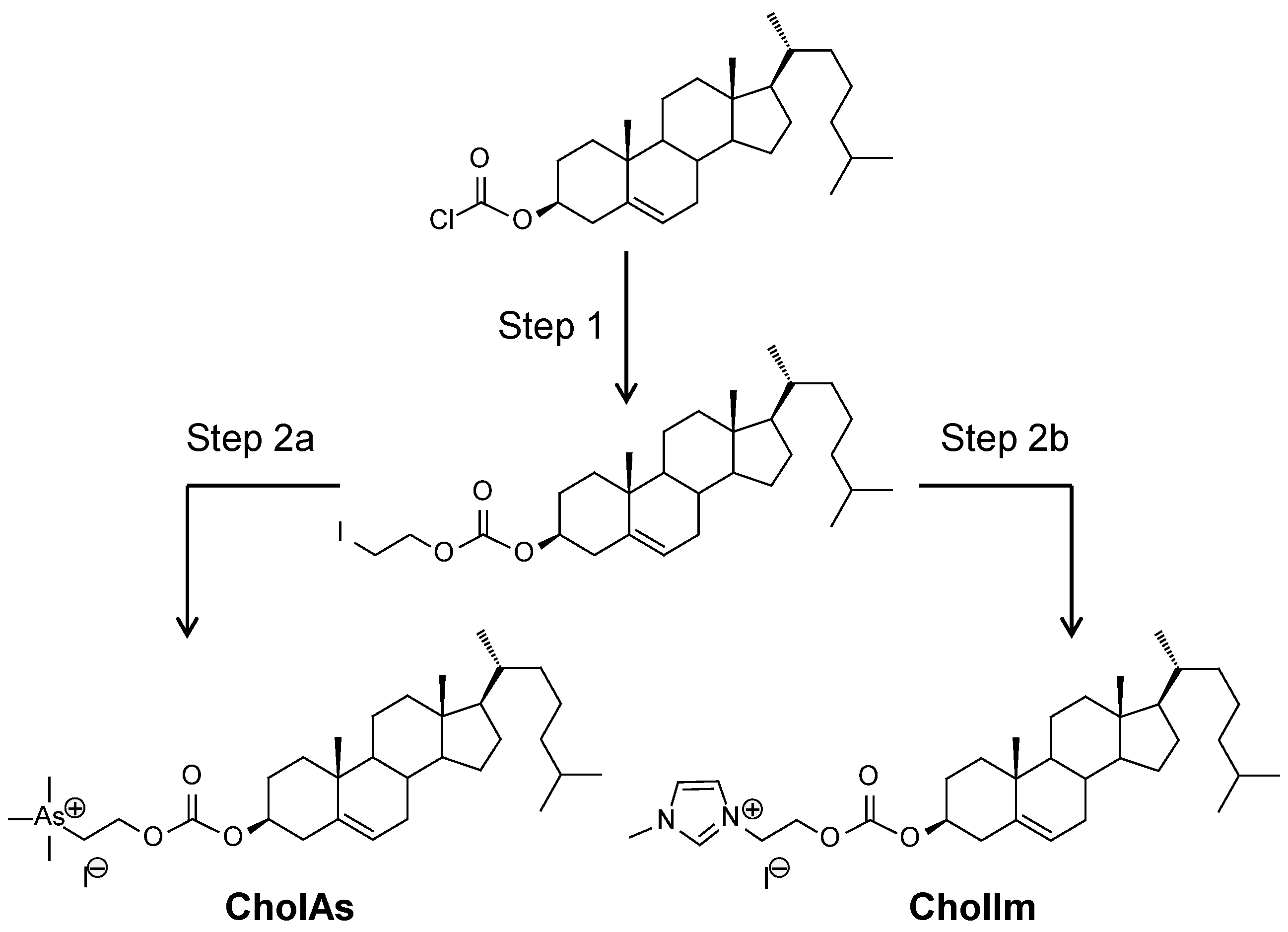 Pharmaceutics 14 00025 sch001