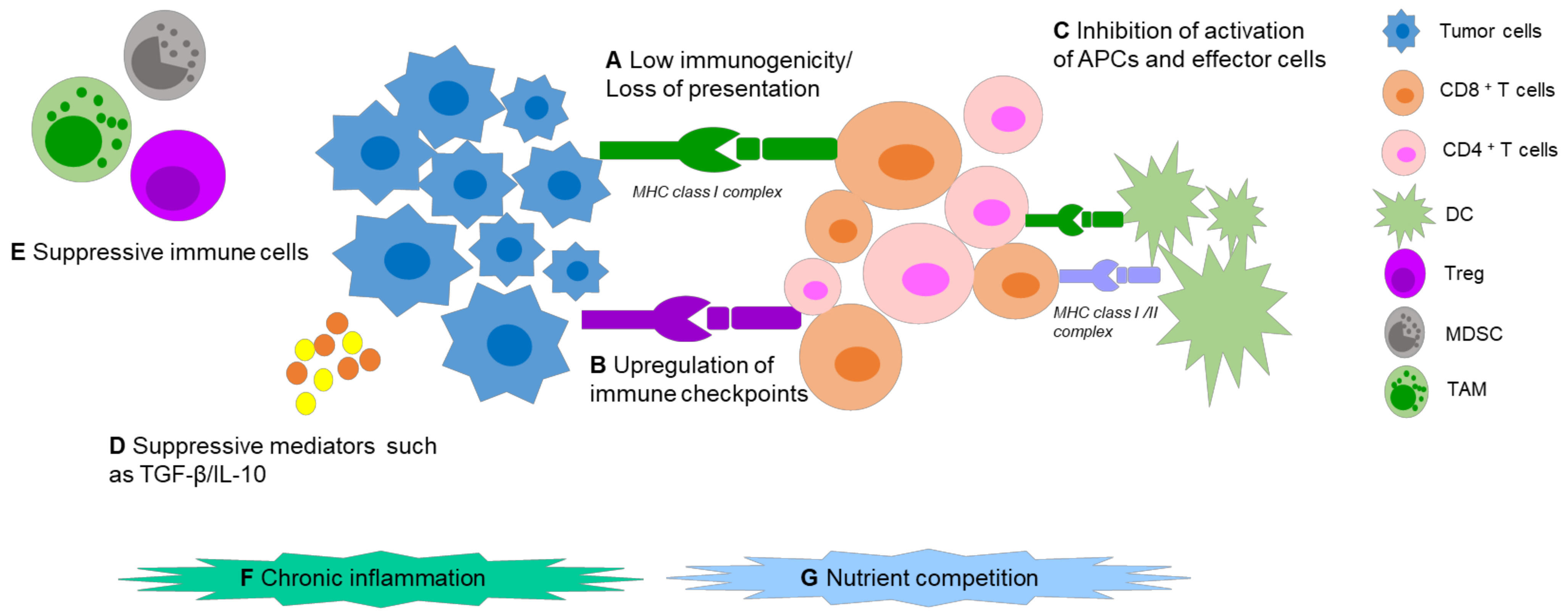 Pharmaceutics 14 00026 g001 Pharmaceutics 14 00026 g001
