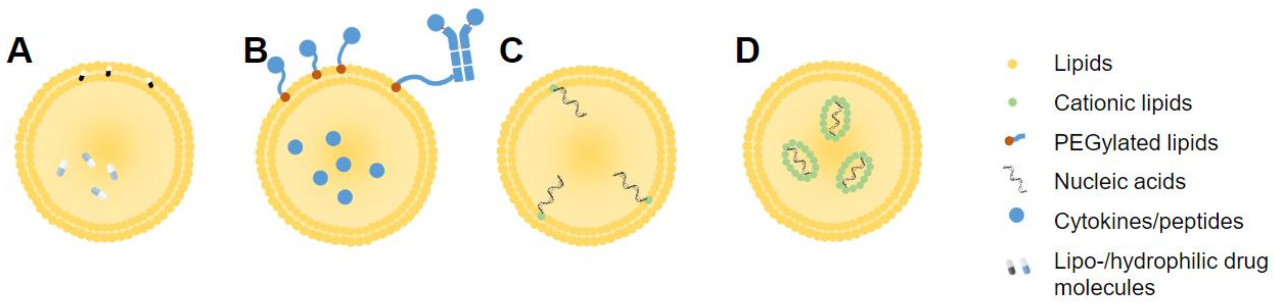 Pharmaceutics 14 00026 g004 Pharmaceutics 14 00026 g004