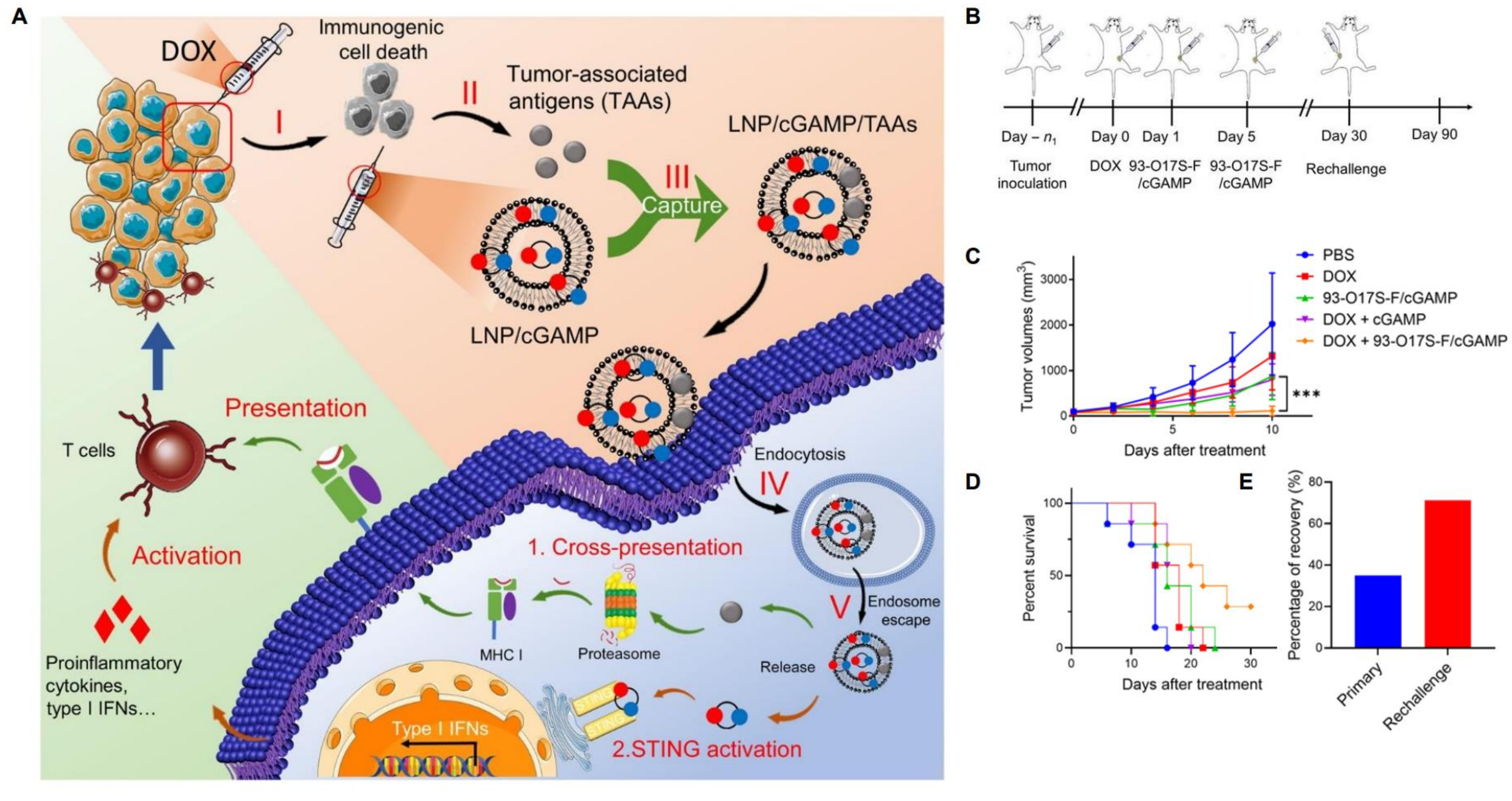 Pharmaceutics 14 00026 g007 Pharmaceutics 14 00026 g007
