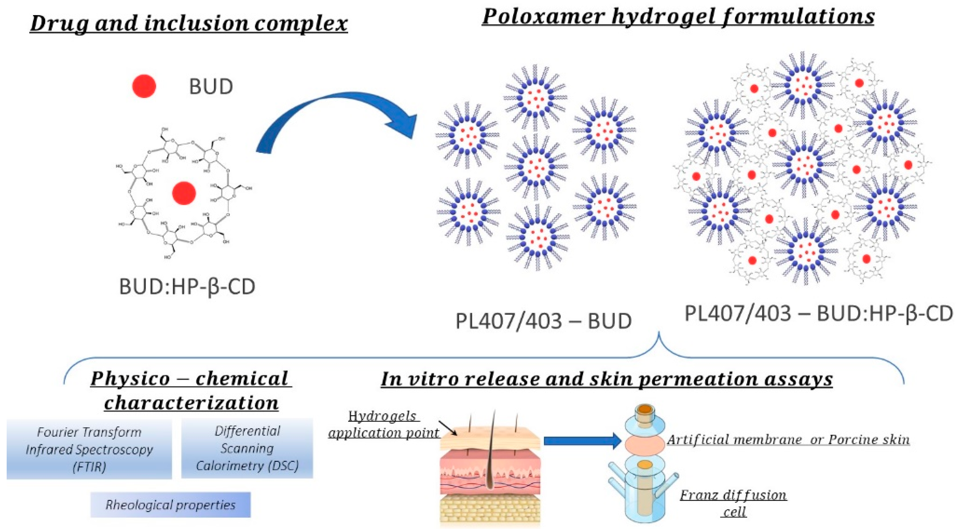 Pharmaceutics 14 00030 sch001