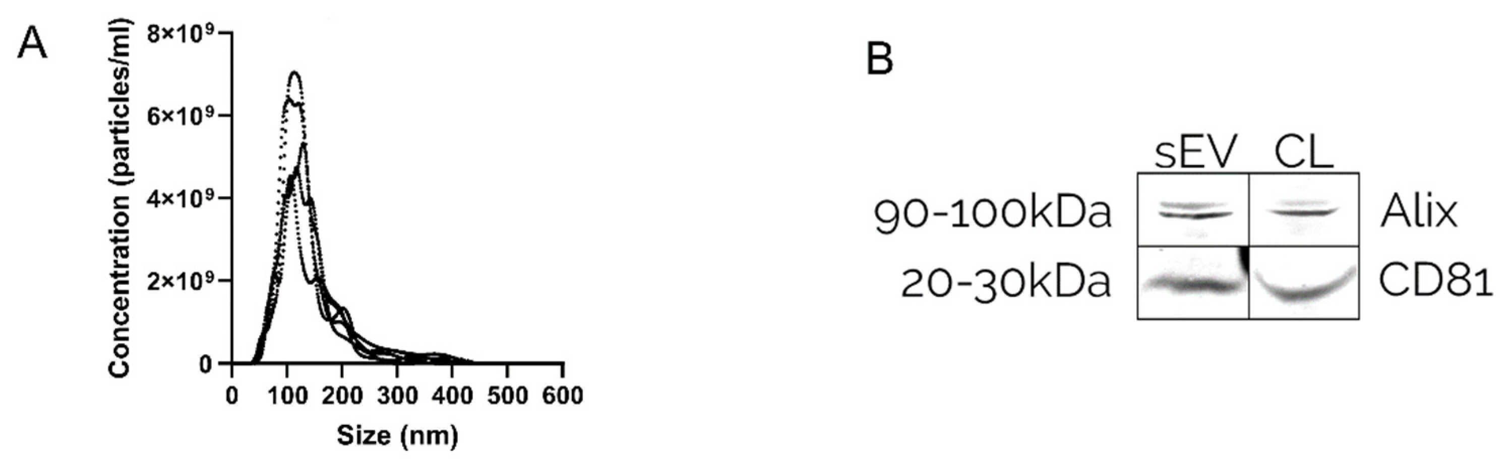 Pharmaceutics 14 00038 g002