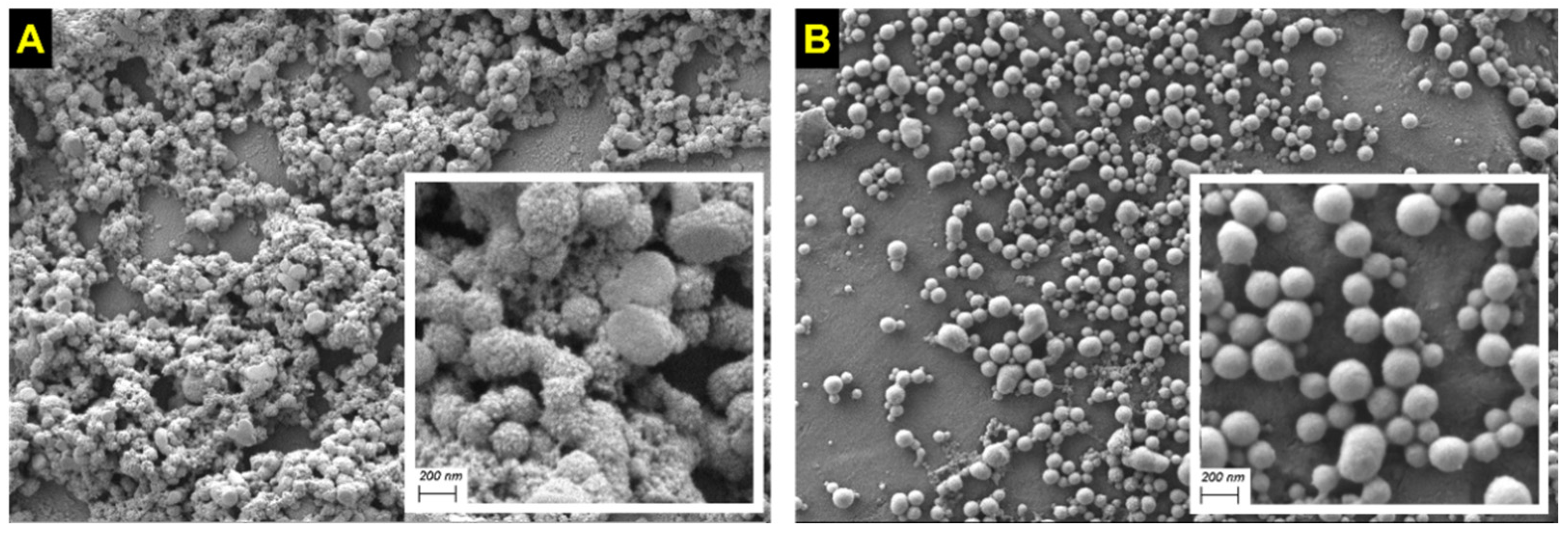 Pharmaceutics 14 00039 g001
