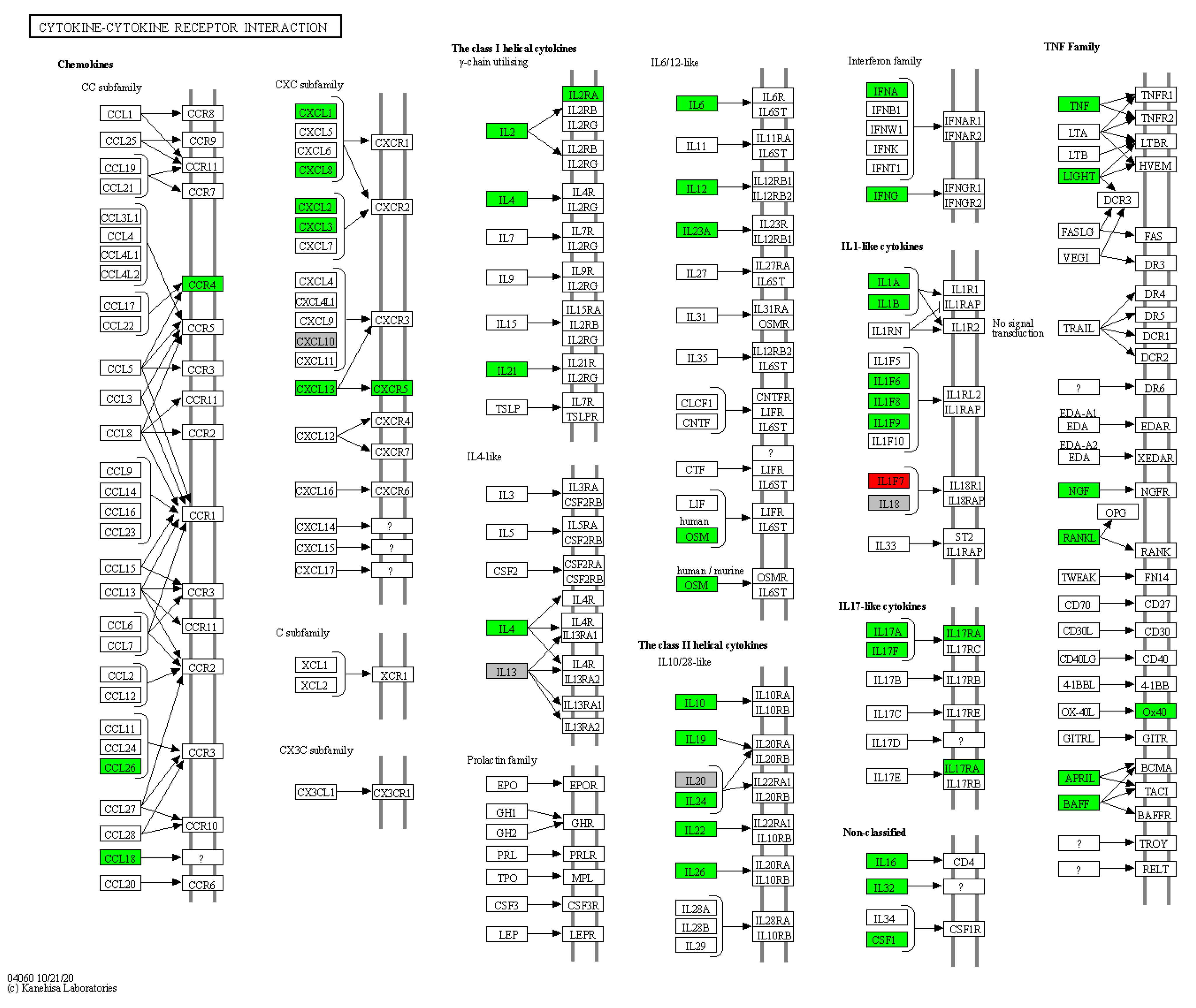 Pharmaceutics 14 00044 g002 550