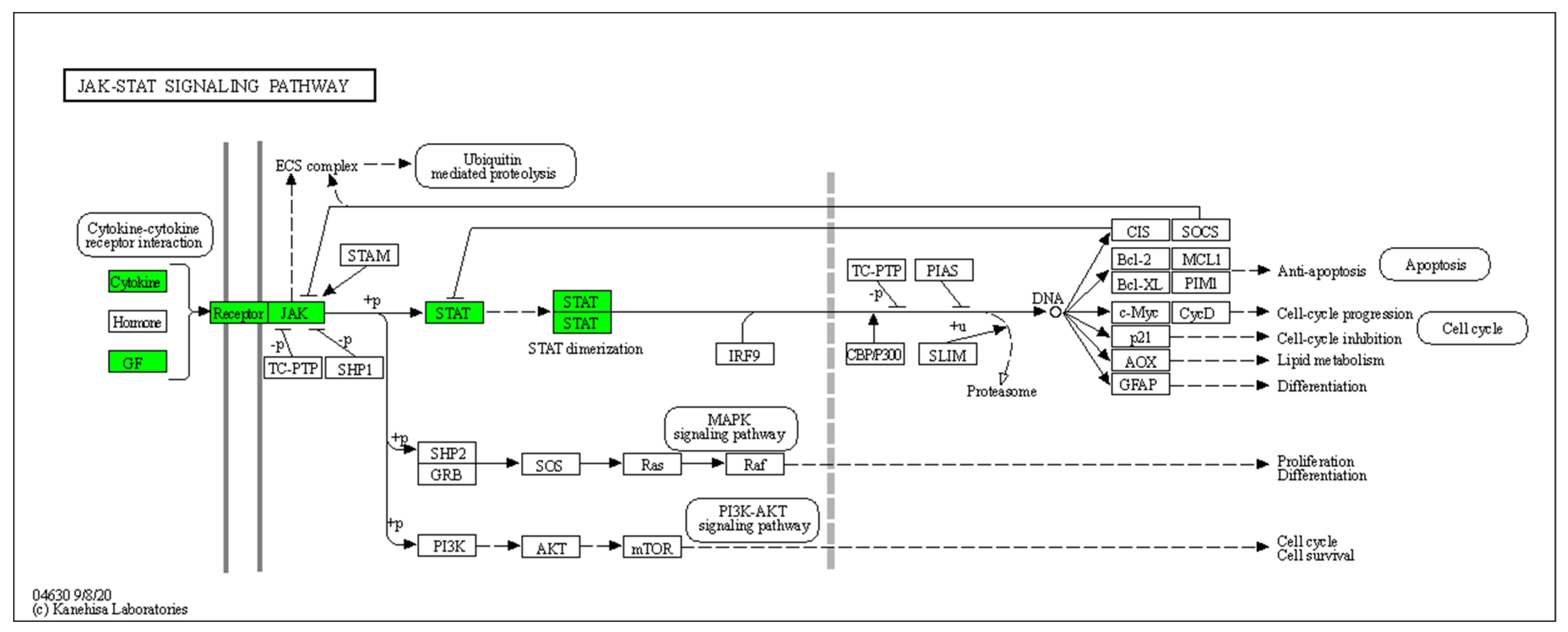 Pharmaceutics 14 00044 g004 550