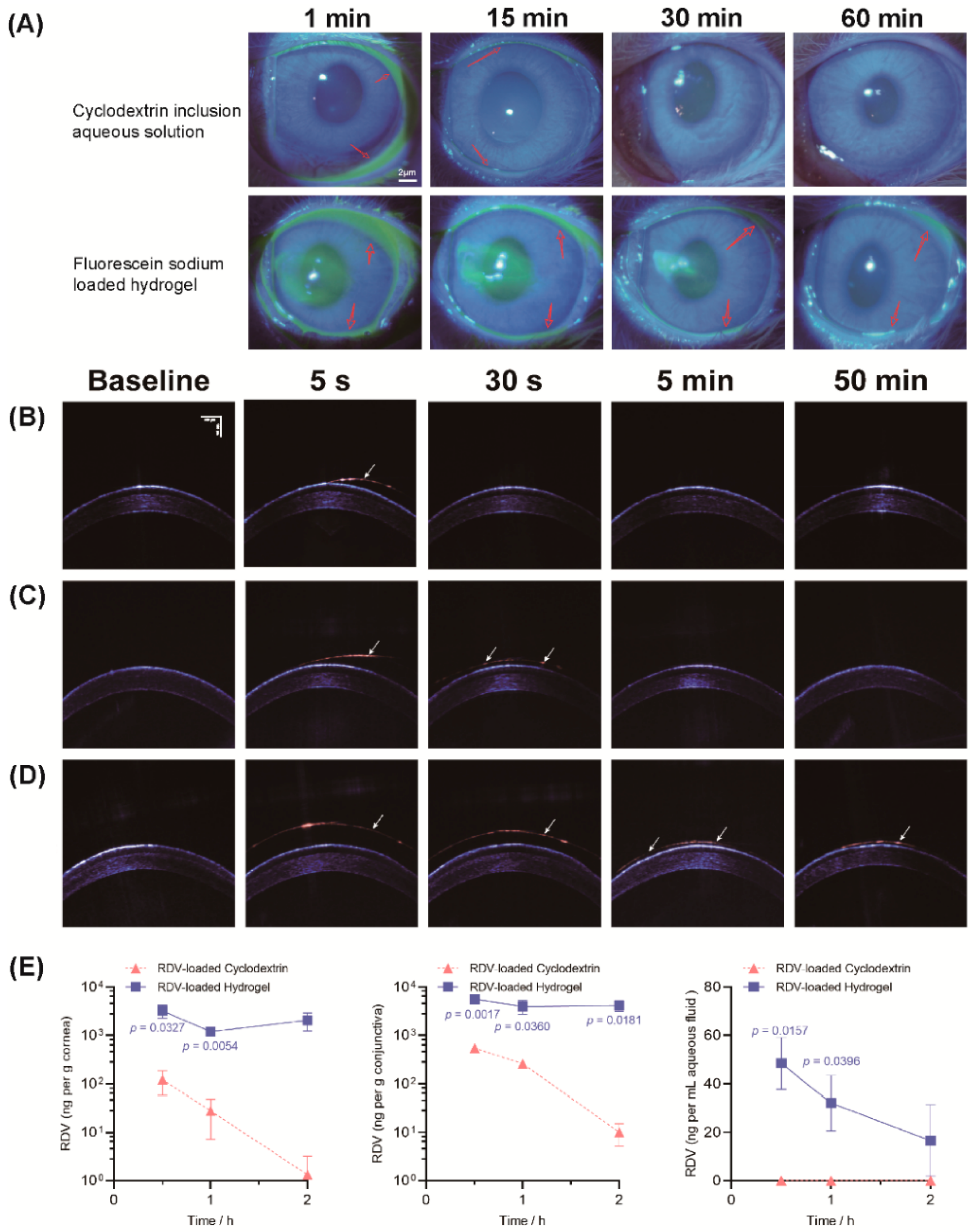 Pharmaceutics 14 00050 g006