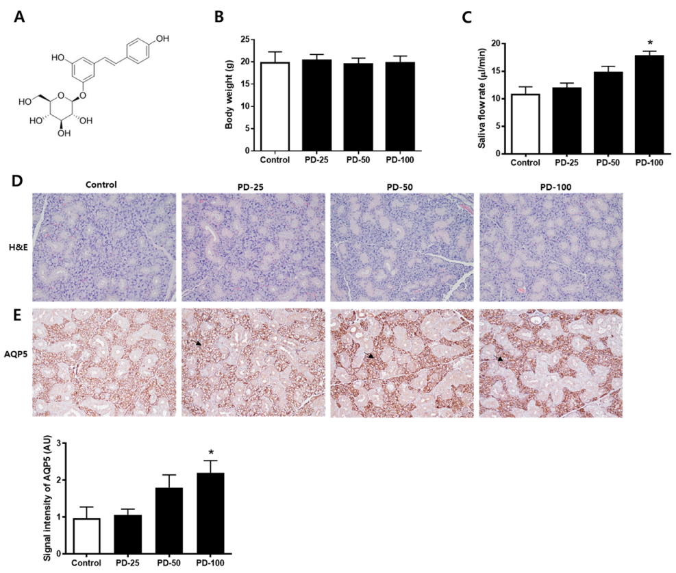 Pharmaceutics 14 00051 g001 550