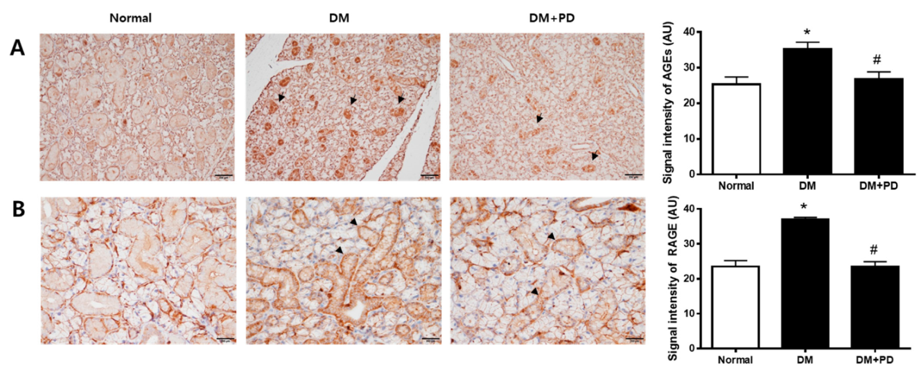 Pharmaceutics 14 00051 g004 550