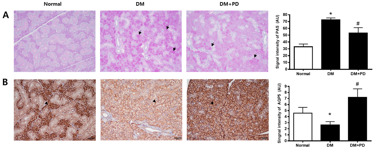 Pharmaceutics 14 00051 g006 550