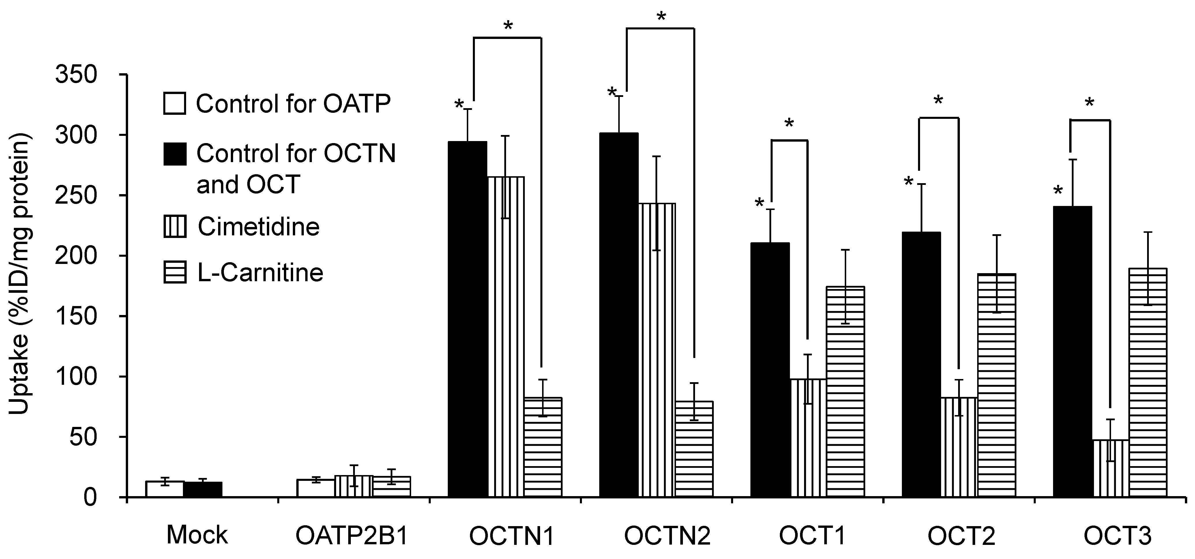 Pharmaceutics 14 00061 g001