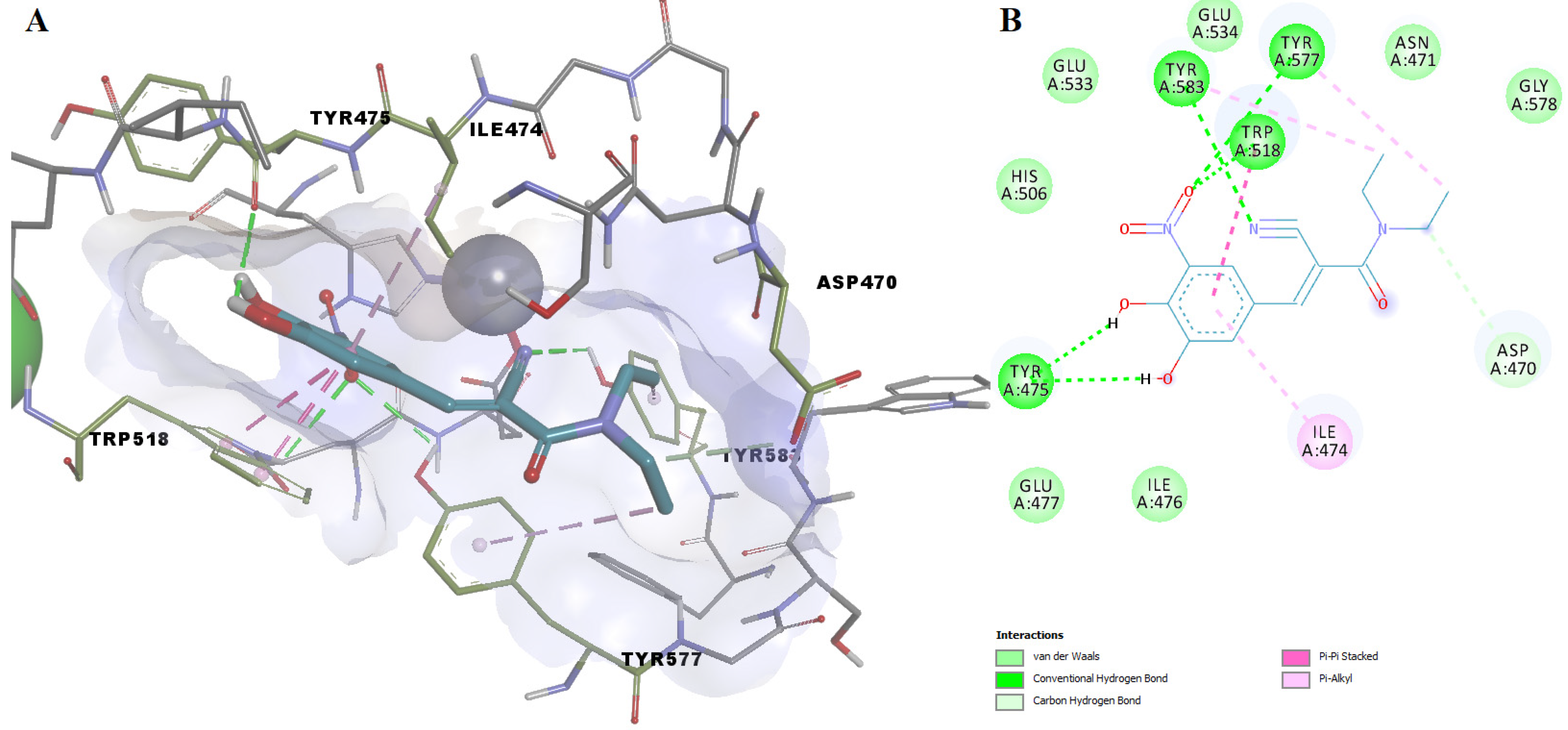 Pharmaceutics 14 00062 g008